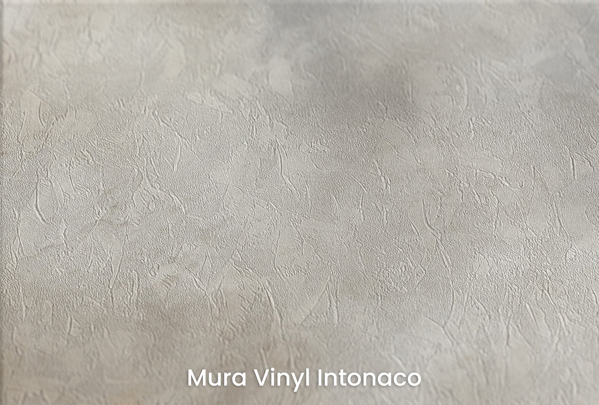 Zbliżenie na artystyczną fototapetę o nazwie MONOCHROME CLOUD MAJESTY na podłożu Mura Vinyl Intonaco - struktura tartego tynku.
