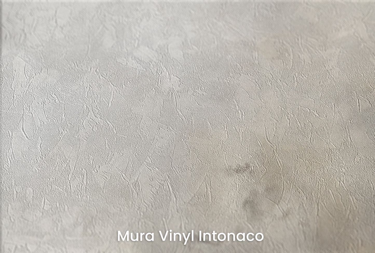 Zbliżenie na artystyczną fototapetę o nazwie MISTY AETHER SWIRLS na podłożu Mura Vinyl Intonaco - struktura tartego tynku.