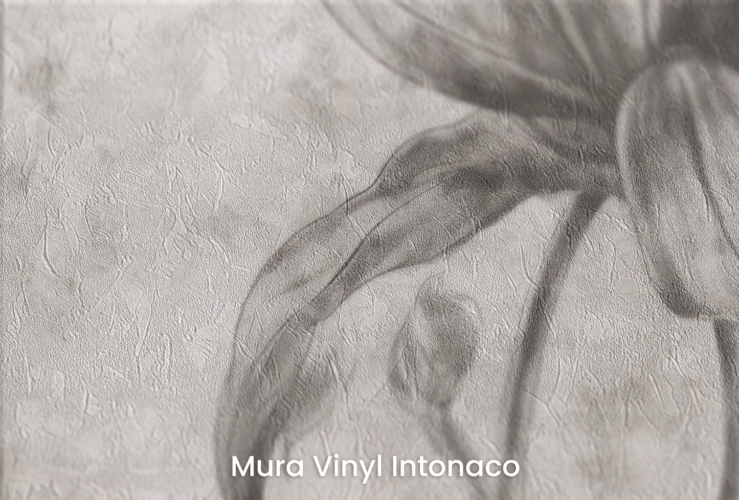 Zbliżenie na artystyczną fototapetę o nazwie TIMELESS BLOOM na podłożu Mura Vinyl Intonaco - struktura tartego tynku.