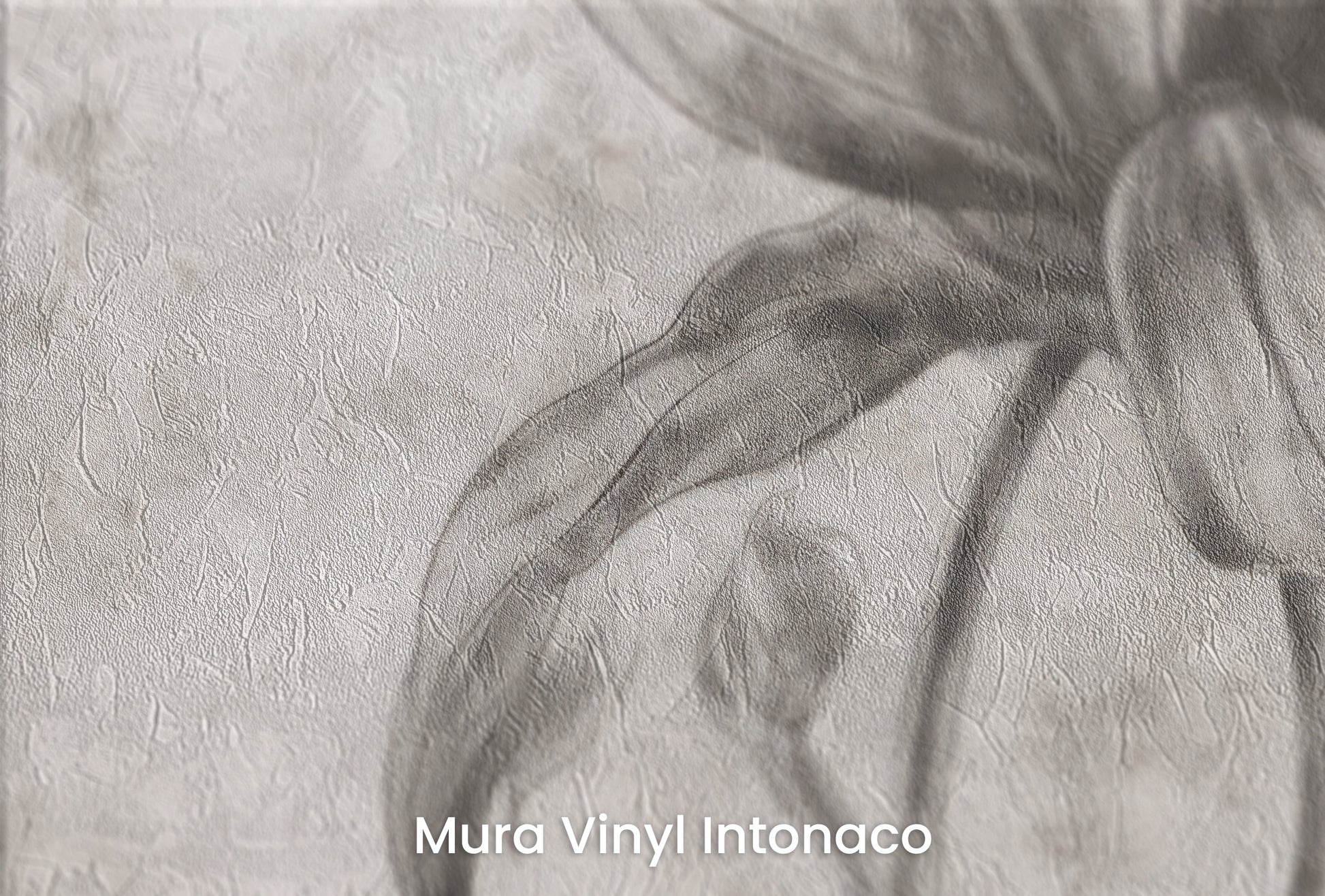 Zbliżenie na artystyczną fototapetę o nazwie TIMELESS BLOOM na podłożu Mura Vinyl Intonaco - struktura tartego tynku.