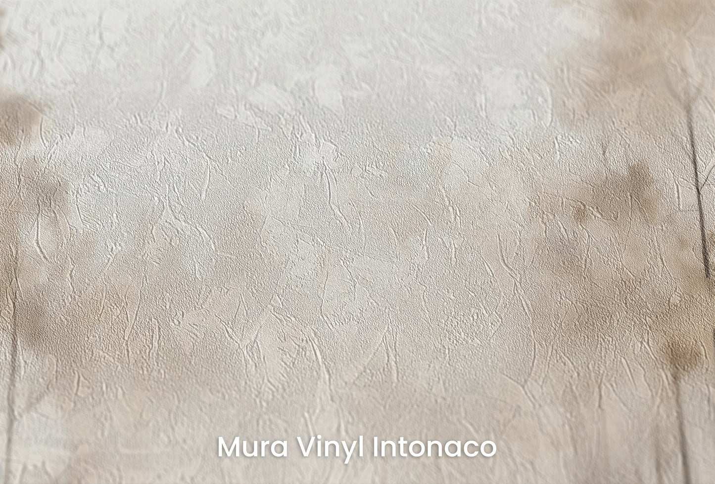Zbliżenie na artystyczną fototapetę o nazwie FOG-ENVELOPED FOREST PATH MURAL na podłożu Mura Vinyl Intonaco - struktura tartego tynku.