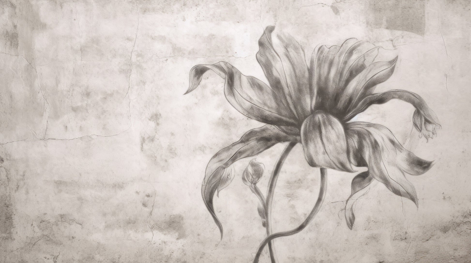 Prezentacja całego wzoru fototapety o nazwie TIMELESS BLOOM