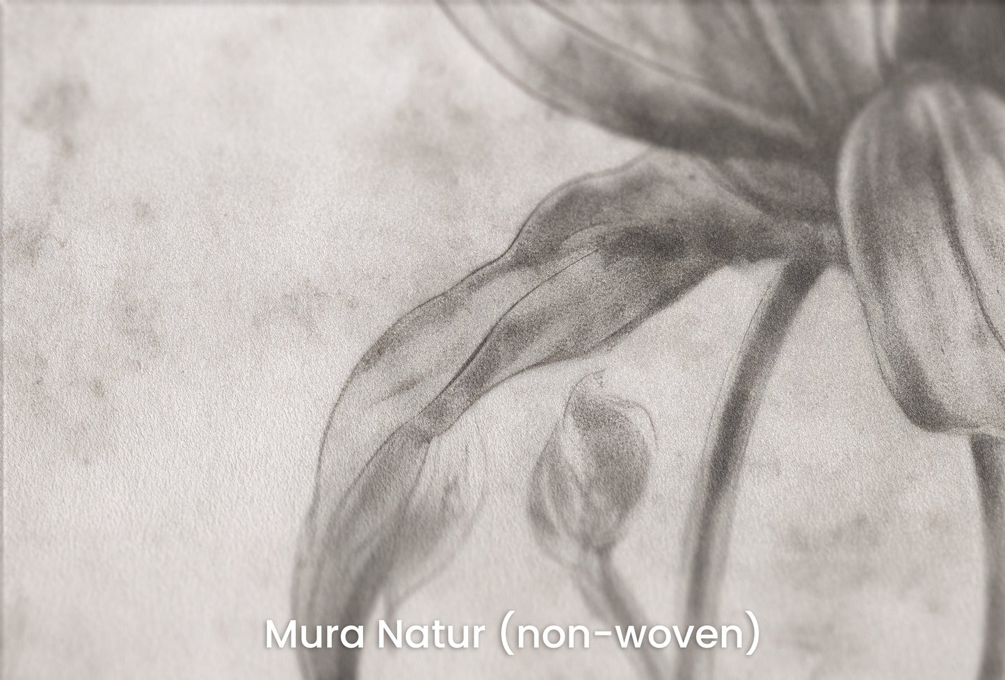 Zbliżenie na artystyczną fototapetę o nazwie TIMELESS BLOOM na podłożu Mura Natur (non-woven) - naturalne i ekologiczne podłoże.