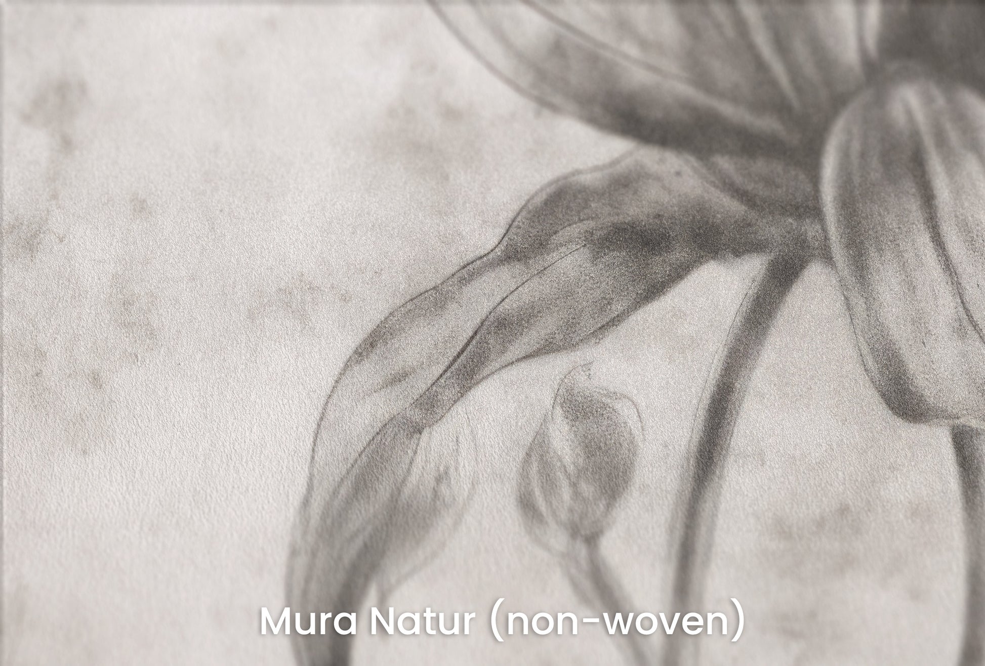 Zbliżenie na artystyczną fototapetę o nazwie TIMELESS BLOOM na podłożu Mura Natur (non-woven) - naturalne i ekologiczne podłoże.
