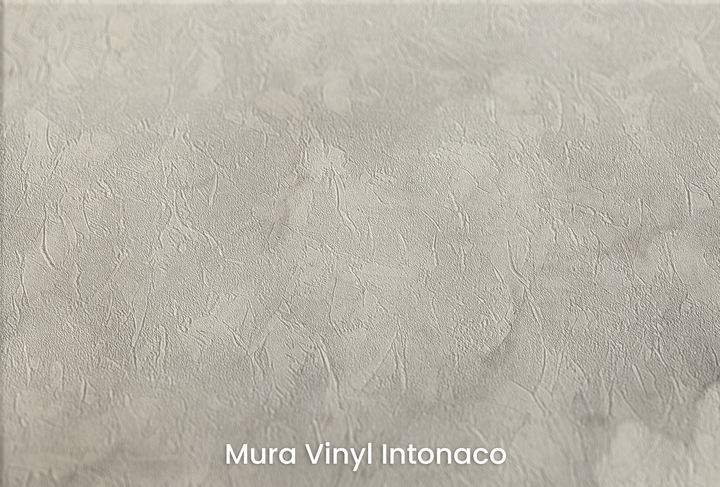 Zbliżenie na artystyczną fototapetę o nazwie CLOUDY WHISPER na podłożu Mura Vinyl Intonaco - struktura tartego tynku.
