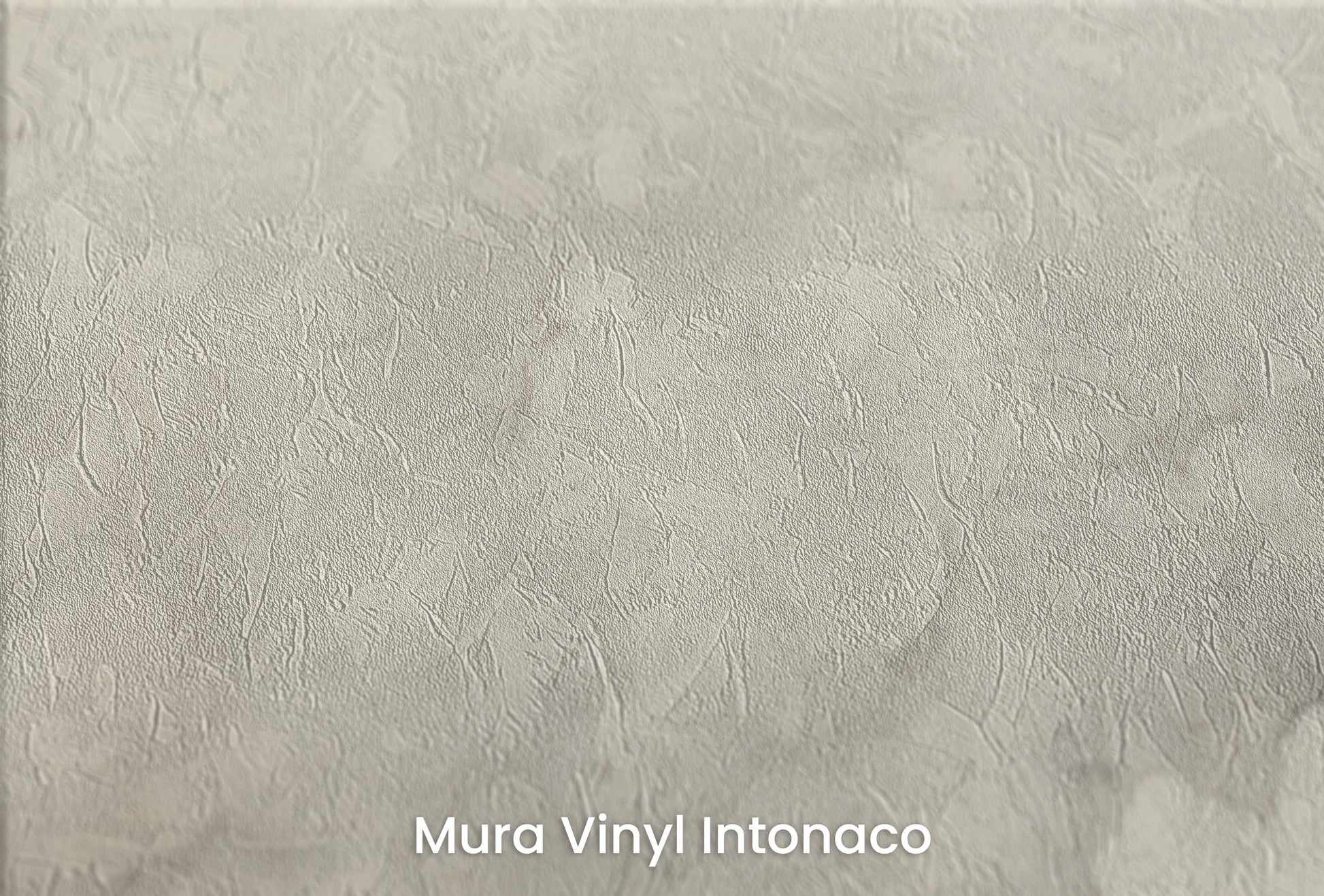 Zbliżenie na artystyczną fototapetę o nazwie CLOUDY WHISPER na podłożu Mura Vinyl Intonaco - struktura tartego tynku.