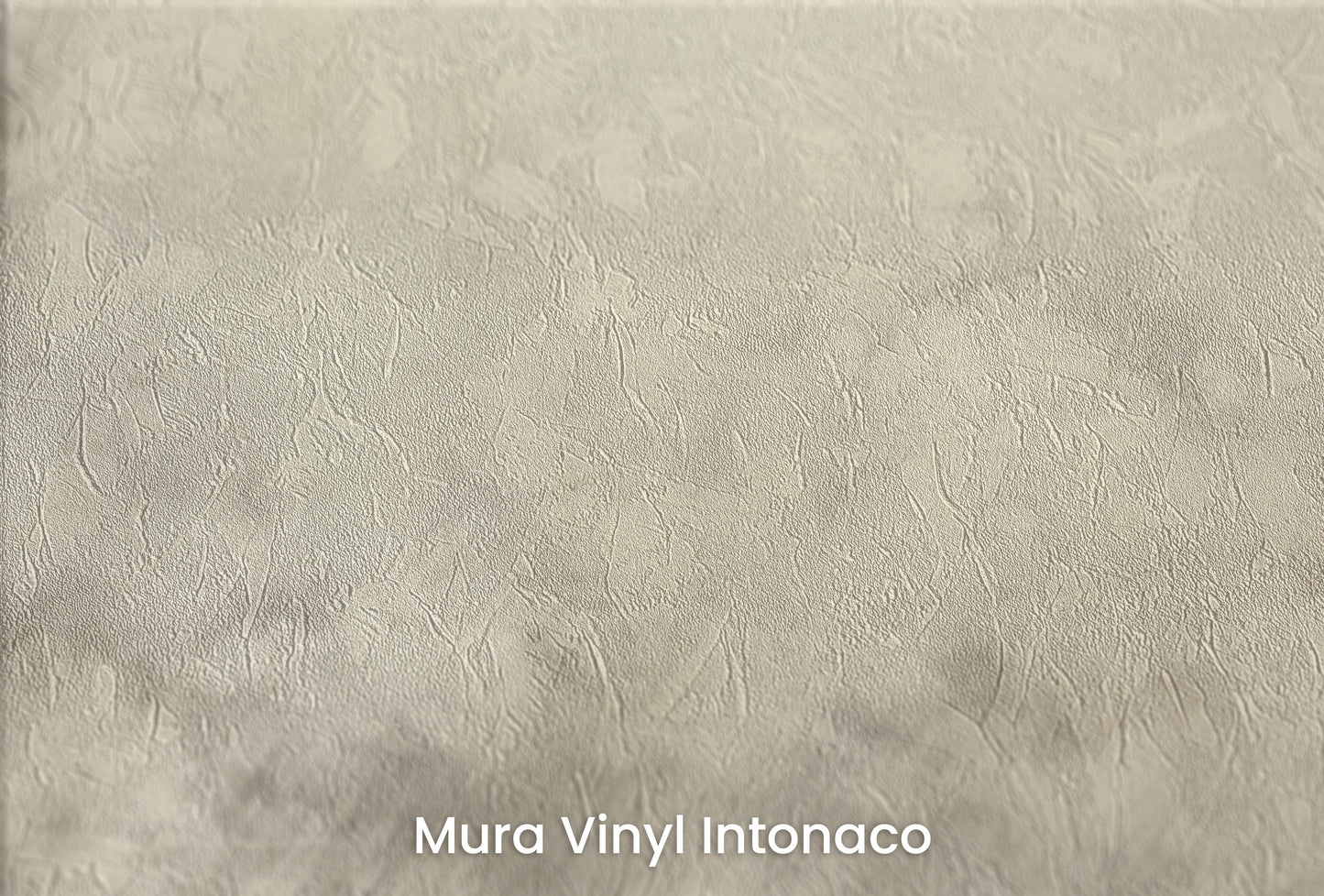 Zbliżenie na artystyczną fototapetę o nazwie ETERNAL MIST na podłożu Mura Vinyl Intonaco - struktura tartego tynku.