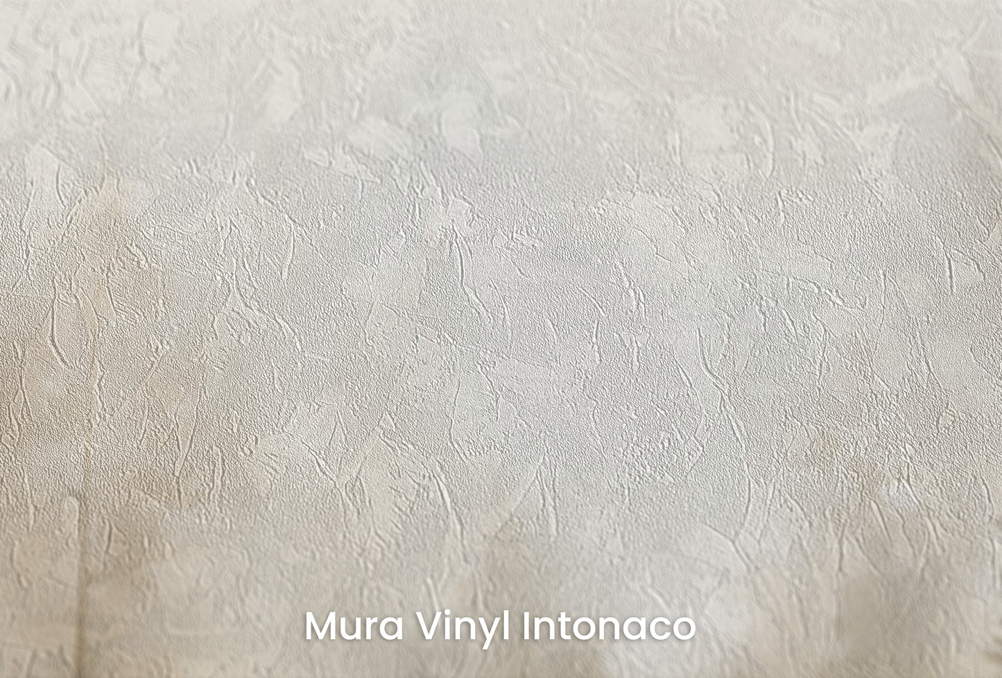 Zbliżenie na artystyczną fototapetę o nazwie FOREST DAWN MIST MURAL na podłożu Mura Vinyl Intonaco - struktura tartego tynku.