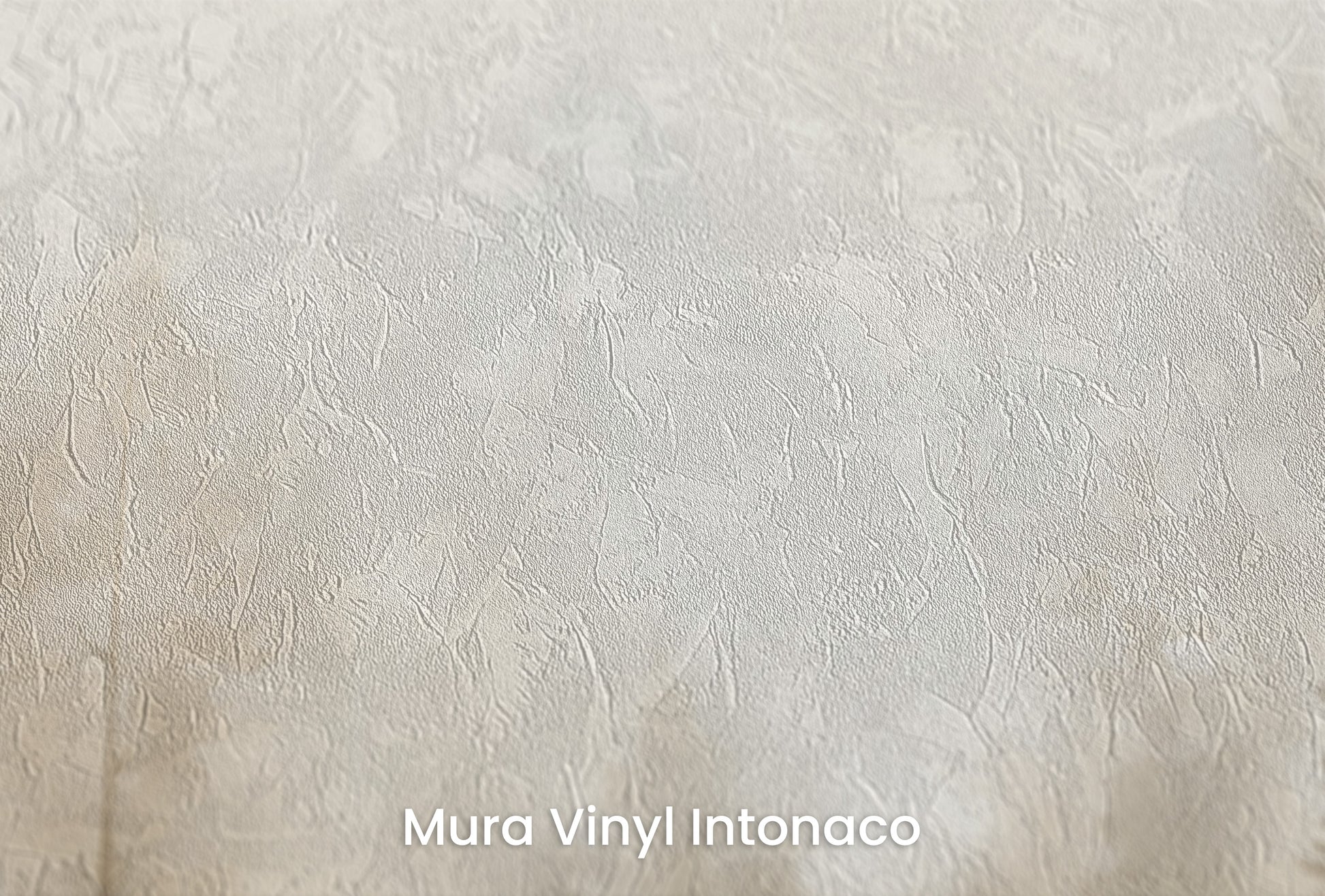 Zbliżenie na artystyczną fototapetę o nazwie FOREST DAWN MIST MURAL na podłożu Mura Vinyl Intonaco - struktura tartego tynku.