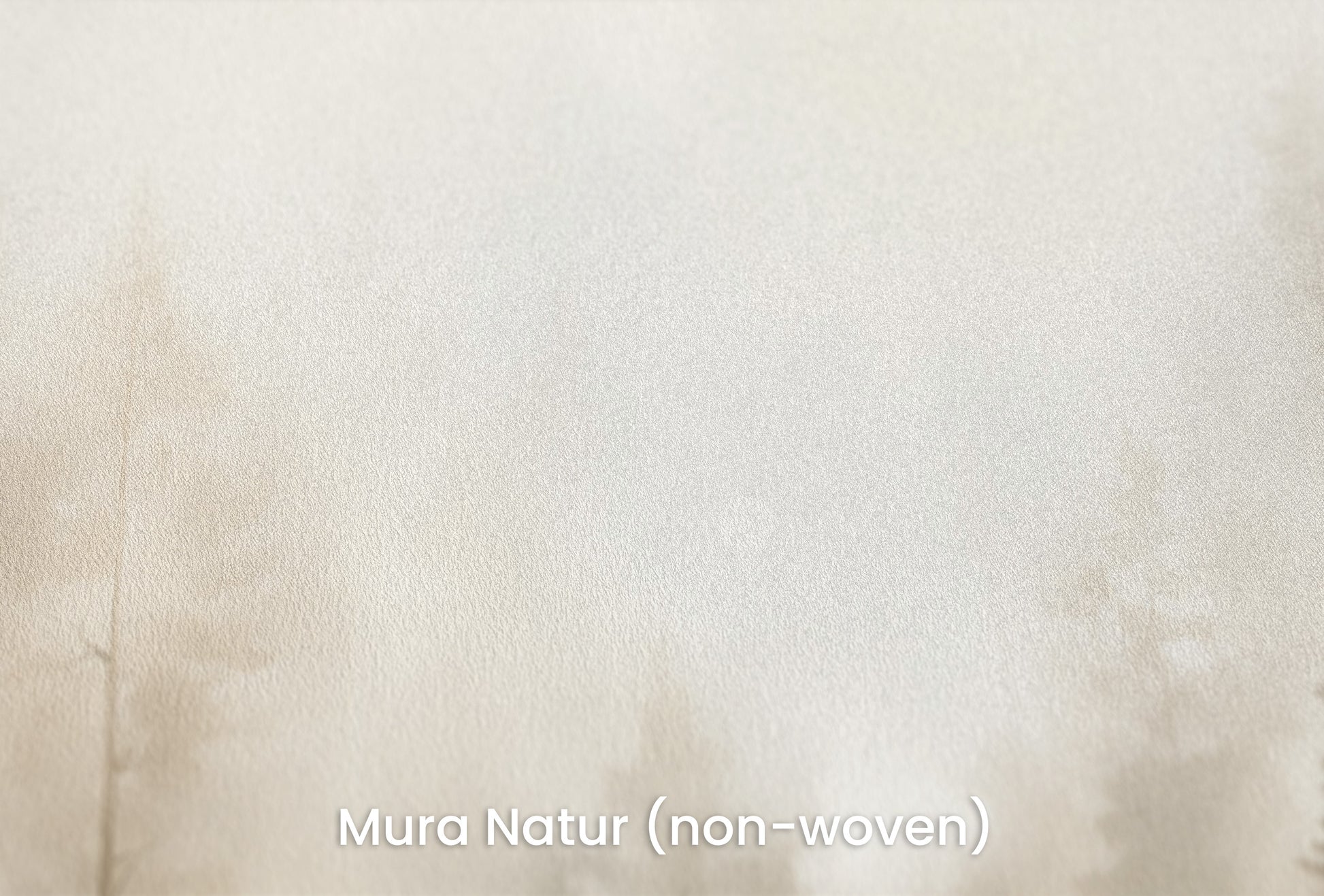 Zbliżenie na artystyczną fototapetę o nazwie FOREST DAWN MIST MURAL na podłożu Mura Natur (non-woven) - naturalne i ekologiczne podłoże.