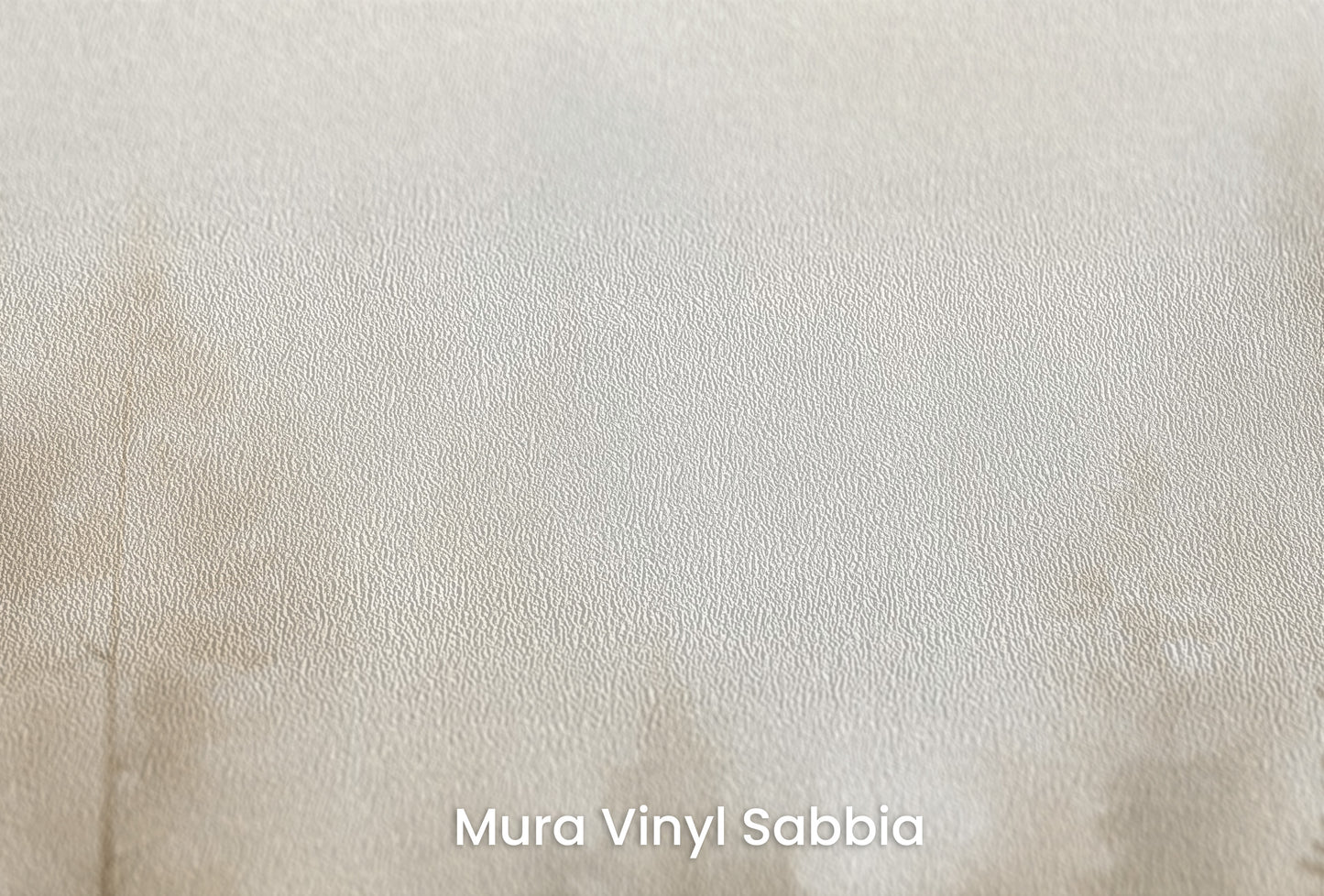 Zbliżenie na artystyczną fototapetę o nazwie FOREST DAWN MIST MURAL na podłożu Mura Vinyl Sabbia struktura grubego ziarna piasku.