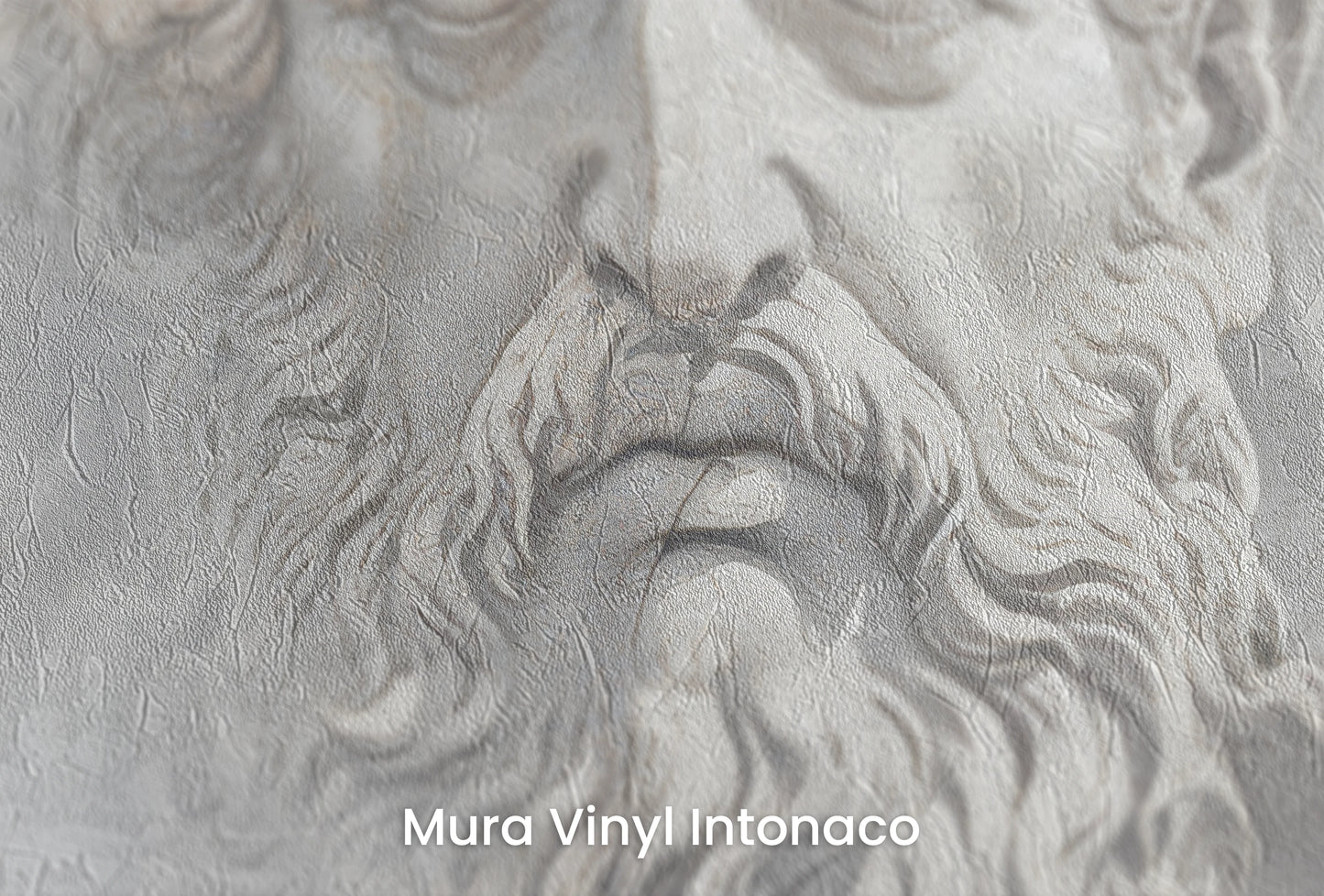 Zbliżenie na artystyczną fototapetę o nazwie Olympian Gaze na podłożu Mura Vinyl Intonaco - struktura tartego tynku.