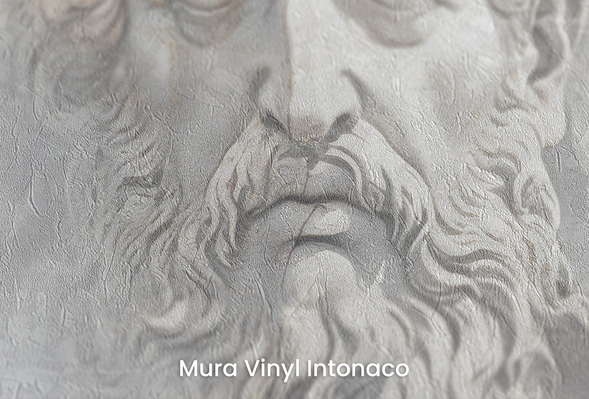 Zbliżenie na artystyczną fototapetę o nazwie Olympian Gaze na podłożu Mura Vinyl Intonaco - struktura tartego tynku.