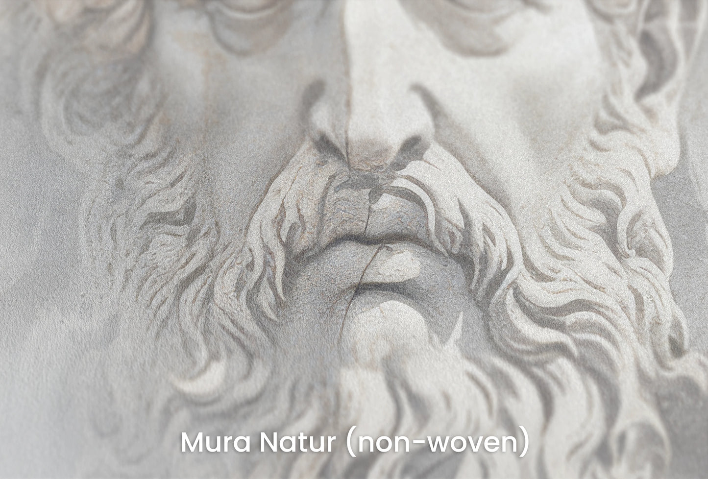 Zbliżenie na artystyczną fototapetę o nazwie Olympian Gaze na podłożu Mura Natur (non-woven) - naturalne i ekologiczne podłoże.