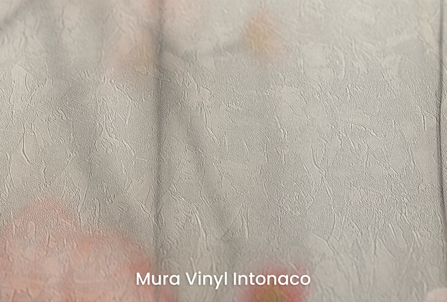 Zbliżenie na artystyczną fototapetę o nazwie Morning Blush na podłożu Mura Vinyl Intonaco - struktura tartego tynku.