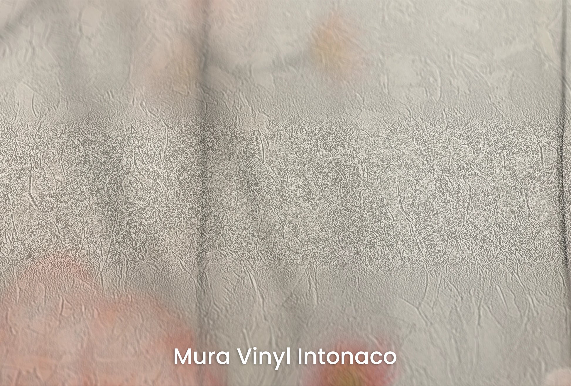 Zbliżenie na artystyczną fototapetę o nazwie Morning Blush na podłożu Mura Vinyl Intonaco - struktura tartego tynku.