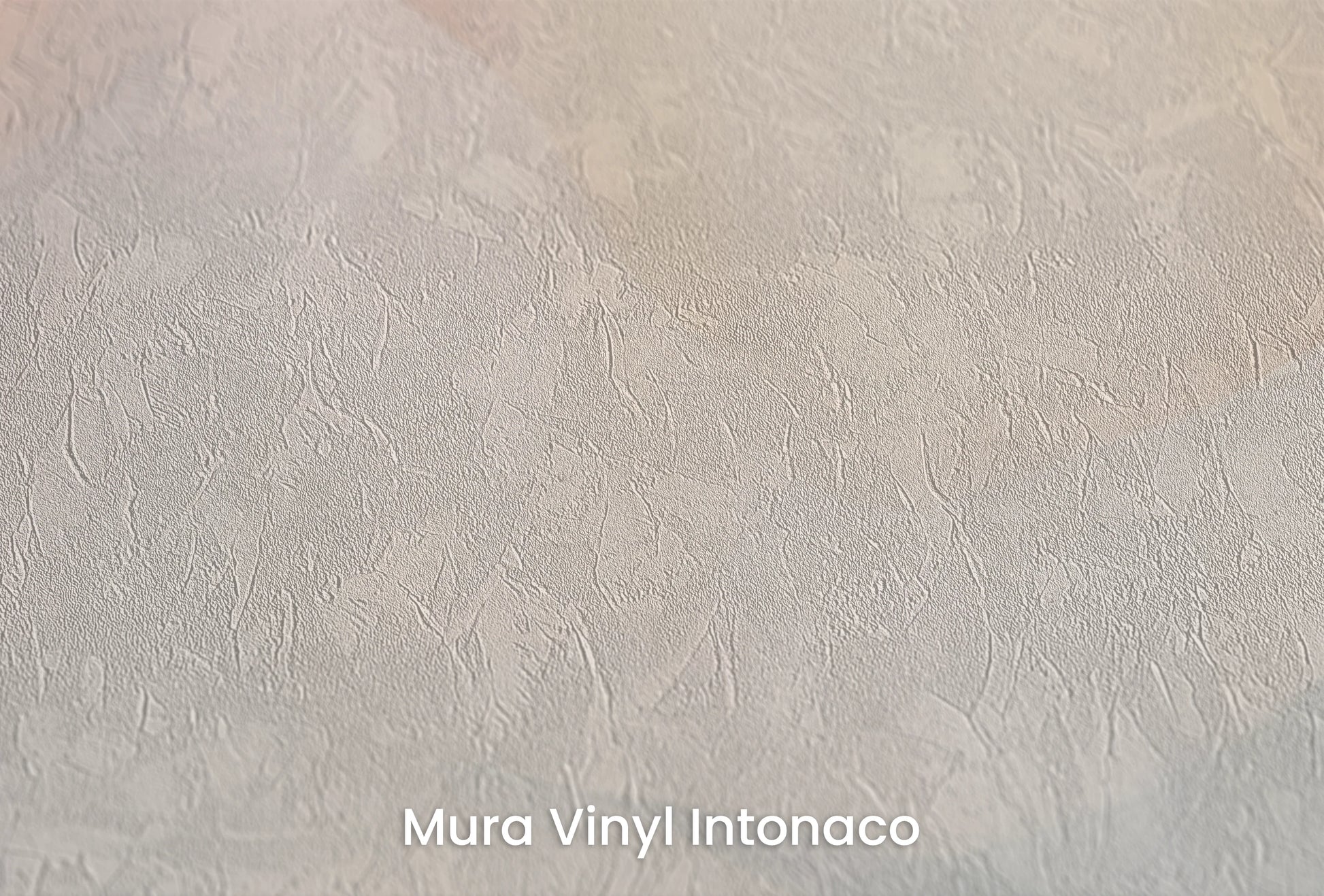 Zbliżenie na artystyczną fototapetę o nazwie Abstract Mingle na podłożu Mura Vinyl Intonaco - struktura tartego tynku.