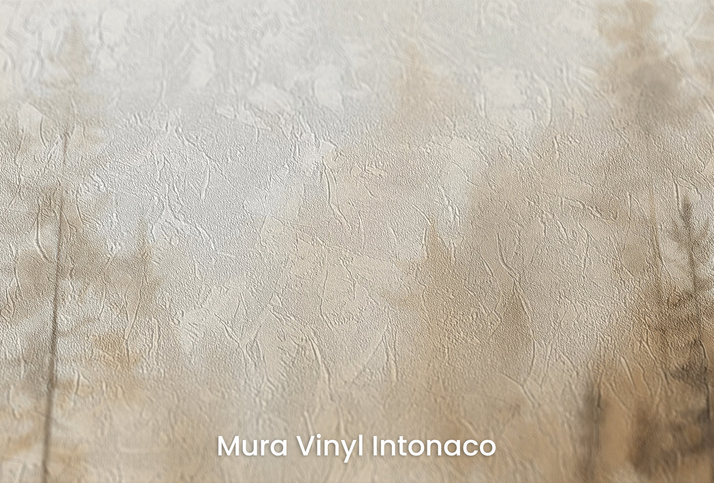 Zbliżenie na artystyczną fototapetę o nazwie GLOWING MIST FOREST PATH MURAL na podłożu Mura Vinyl Intonaco - struktura tartego tynku.