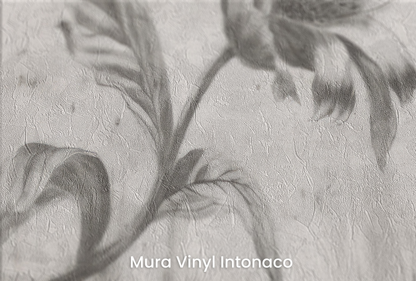 Zbliżenie na artystyczną fototapetę o nazwie CONCRETE BLOOM na podłożu Mura Vinyl Intonaco - struktura tartego tynku.
