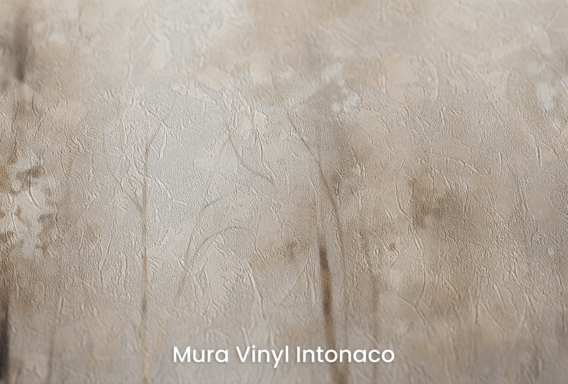 Zbliżenie na artystyczną fototapetę o nazwie WINTER'S WHISPER MURAL na podłożu Mura Vinyl Intonaco - struktura tartego tynku.
