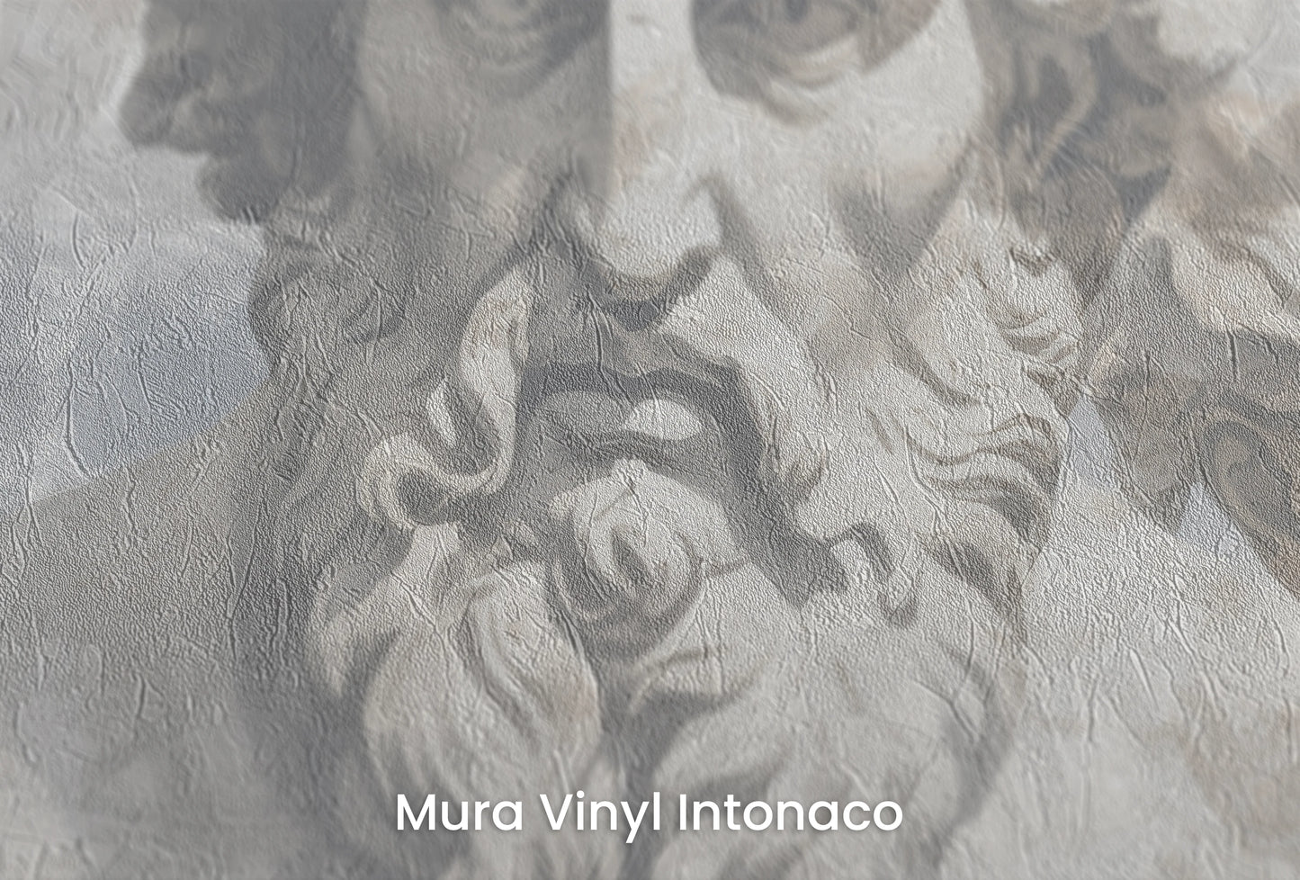 Zbliżenie na artystyczną fototapetę o nazwie Philosopher's Ensemble na podłożu Mura Vinyl Intonaco - struktura tartego tynku.