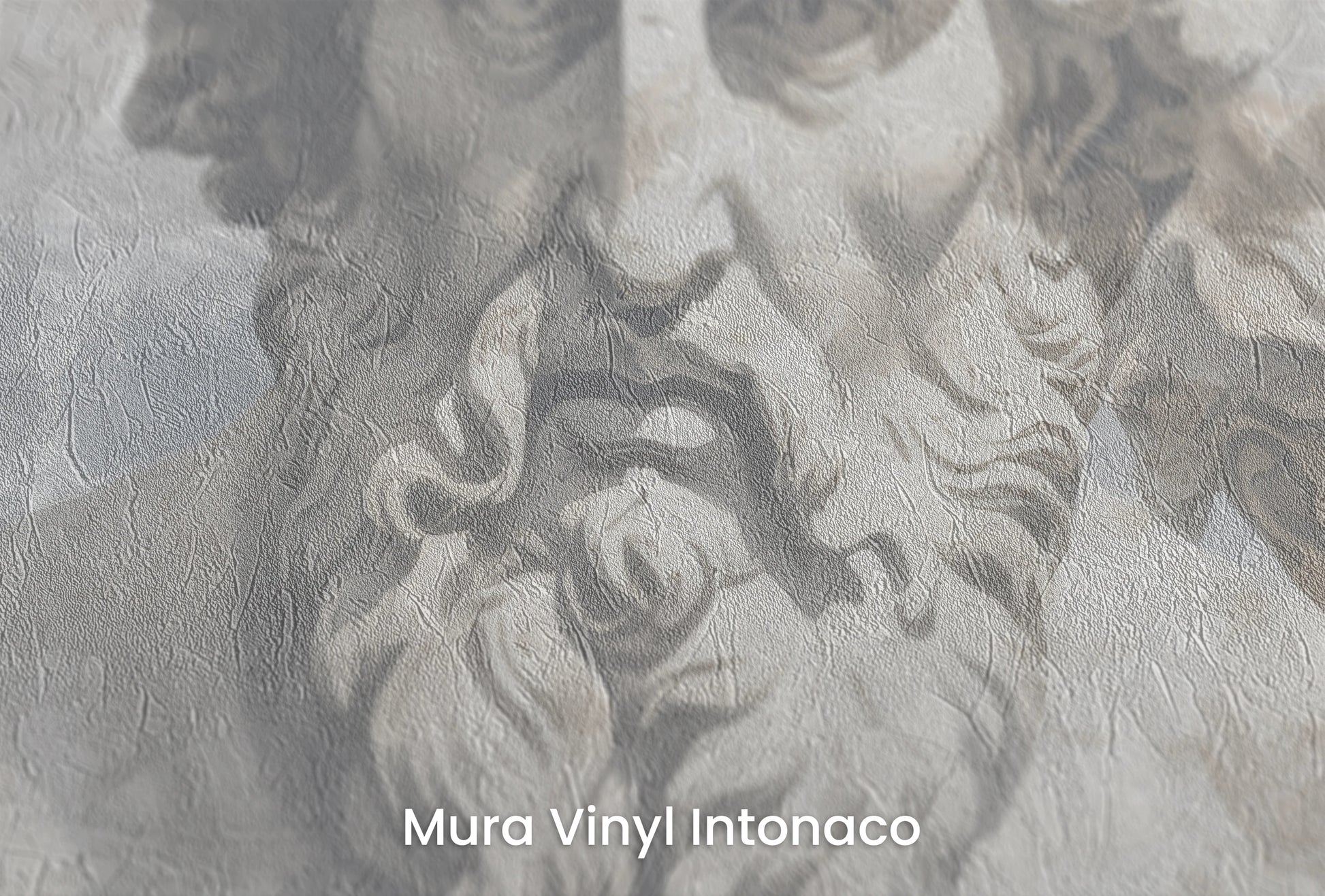 Zbliżenie na artystyczną fototapetę o nazwie Philosopher's Ensemble na podłożu Mura Vinyl Intonaco - struktura tartego tynku.