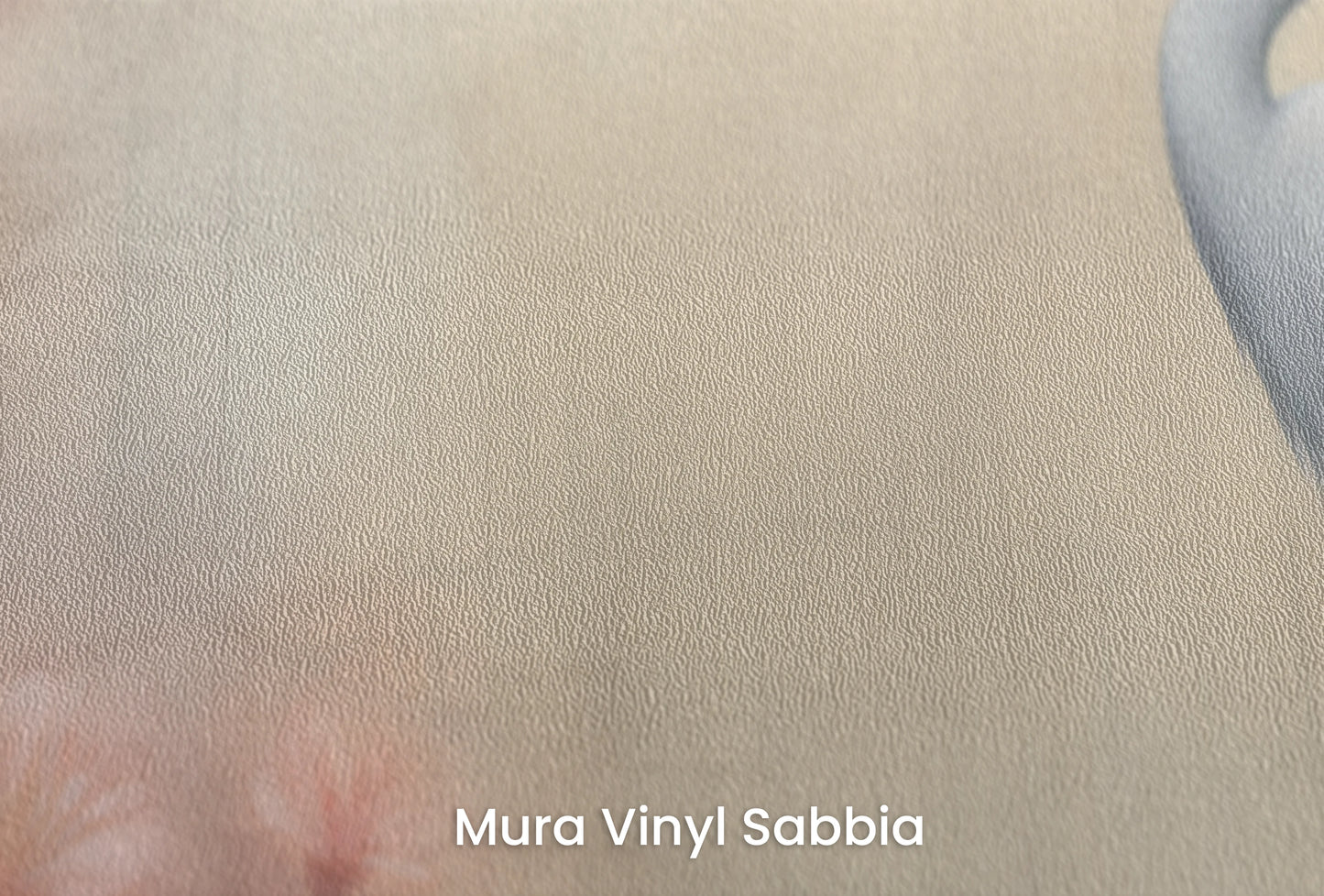Zbliżenie na artystyczną fototapetę o nazwie Graceful Crane na podłożu Mura Vinyl Sabbia struktura grubego ziarna piasku.