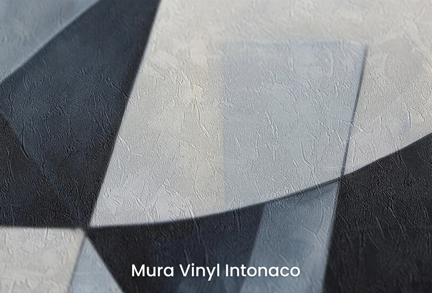 Zbliżenie na artystyczną fototapetę o nazwie Monochrome Dynamic na podłożu Mura Vinyl Intonaco - struktura tartego tynku.