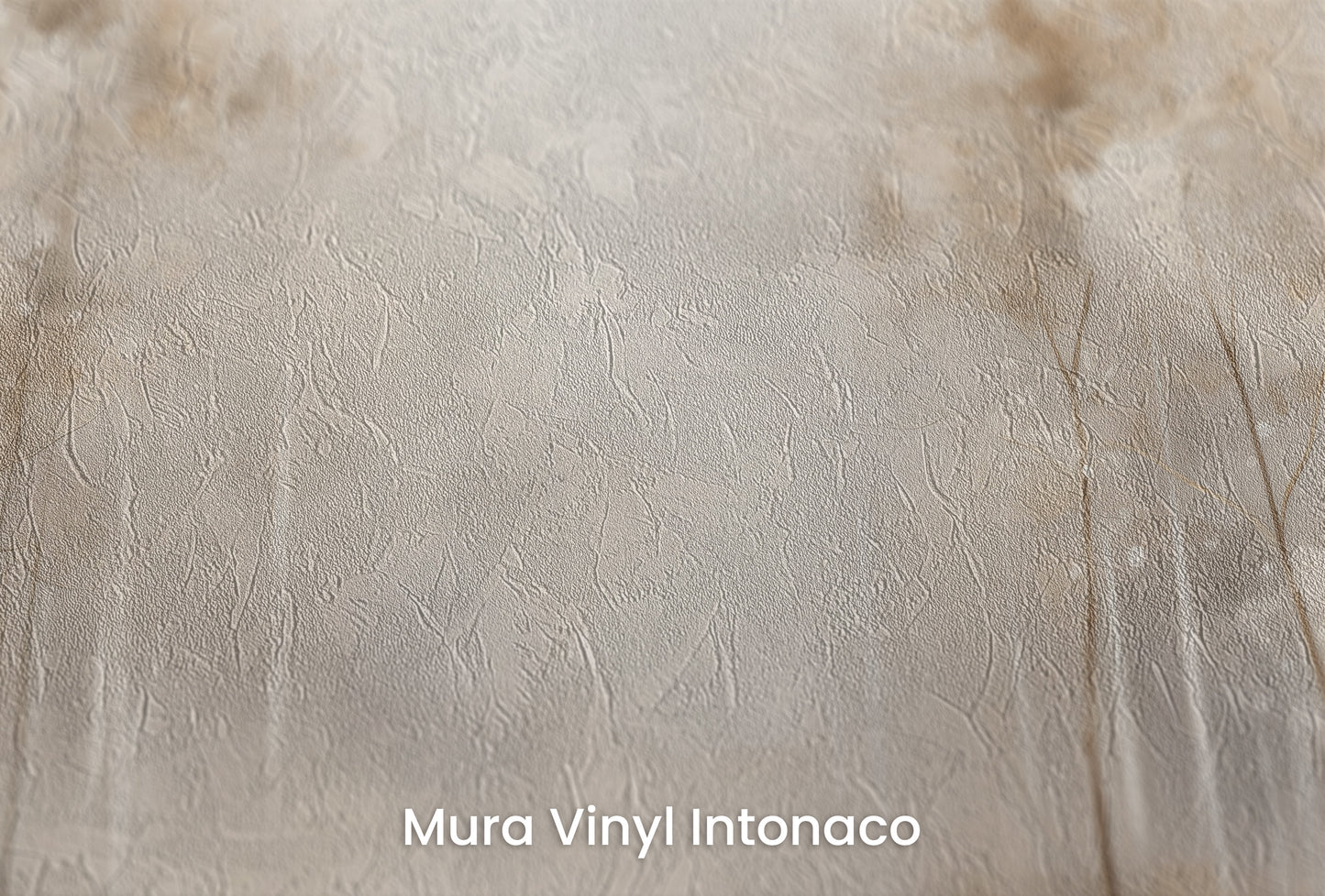 Zbliżenie na artystyczną fototapetę o nazwie SOFT WINTER GLOW MURAL na podłożu Mura Vinyl Intonaco - struktura tartego tynku.
