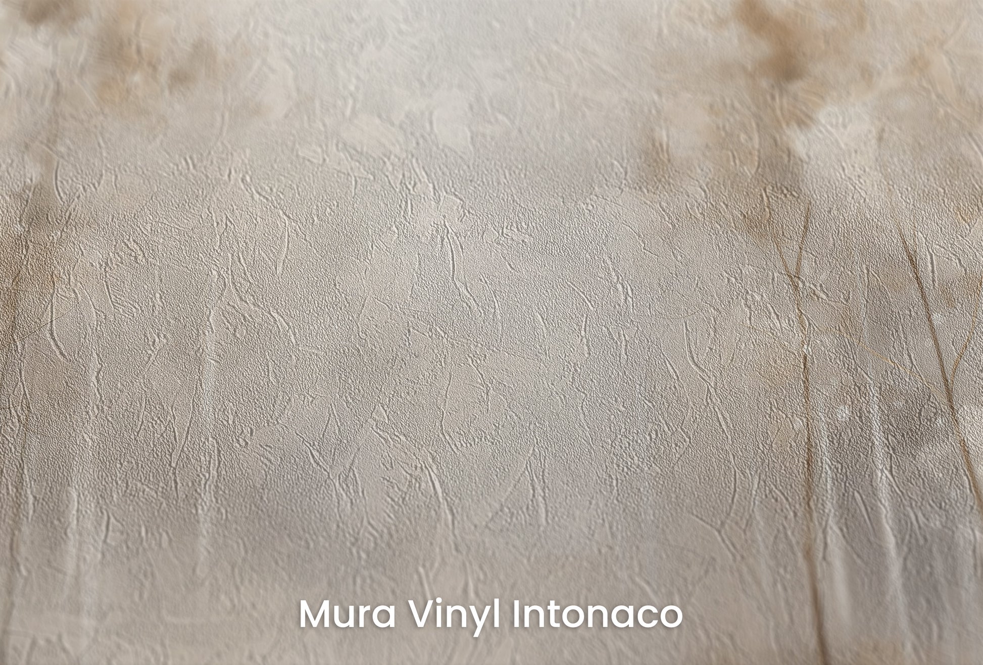 Zbliżenie na artystyczną fototapetę o nazwie SOFT WINTER GLOW MURAL na podłożu Mura Vinyl Intonaco - struktura tartego tynku.
