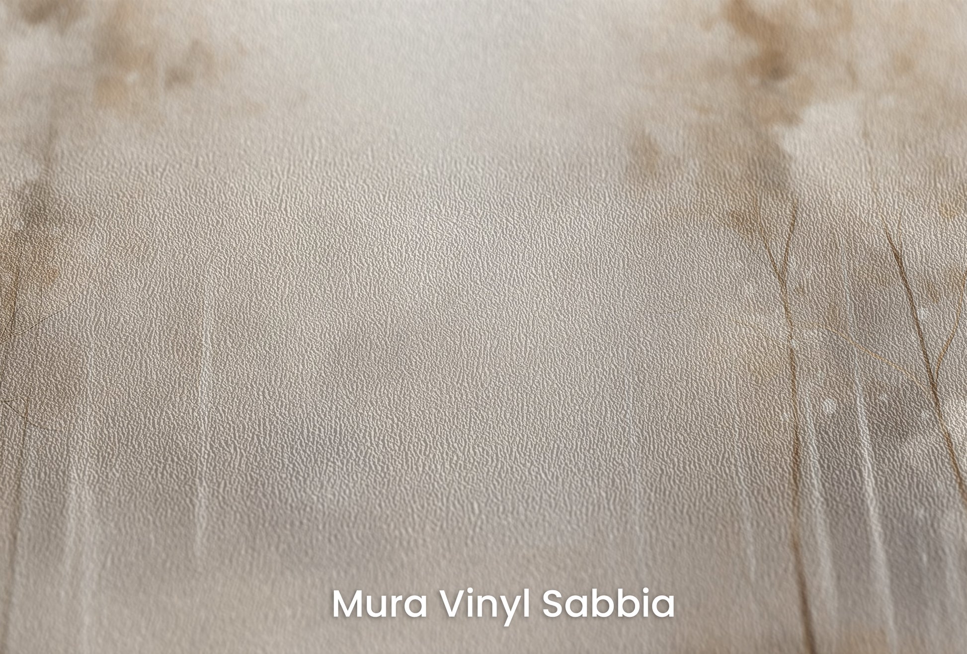 Zbliżenie na artystyczną fototapetę o nazwie SOFT WINTER GLOW MURAL na podłożu Mura Vinyl Sabbia struktura grubego ziarna piasku.