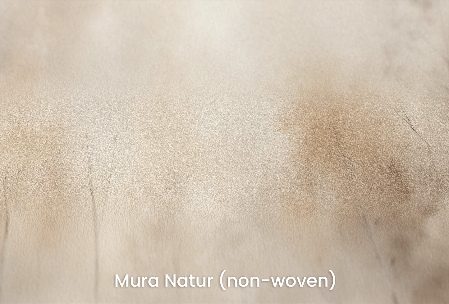 Zbliżenie na artystyczną fototapetę o nazwie AMBER FOG FOREST MURAL na podłożu Mura Natur (non-woven) - naturalne i ekologiczne podłoże.