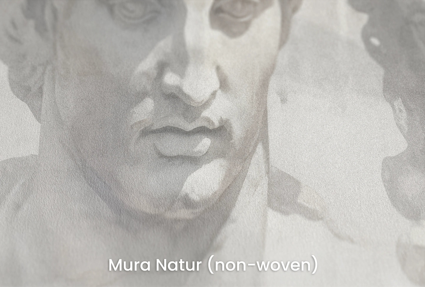 Zbliżenie na artystyczną fototapetę o nazwie Greek Tragedy na podłożu Mura Natur (non-woven) - naturalne i ekologiczne podłoże.