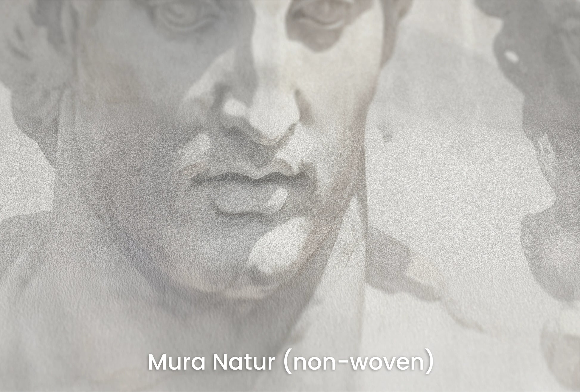 Zbliżenie na artystyczną fototapetę o nazwie Greek Tragedy na podłożu Mura Natur (non-woven) - naturalne i ekologiczne podłoże.