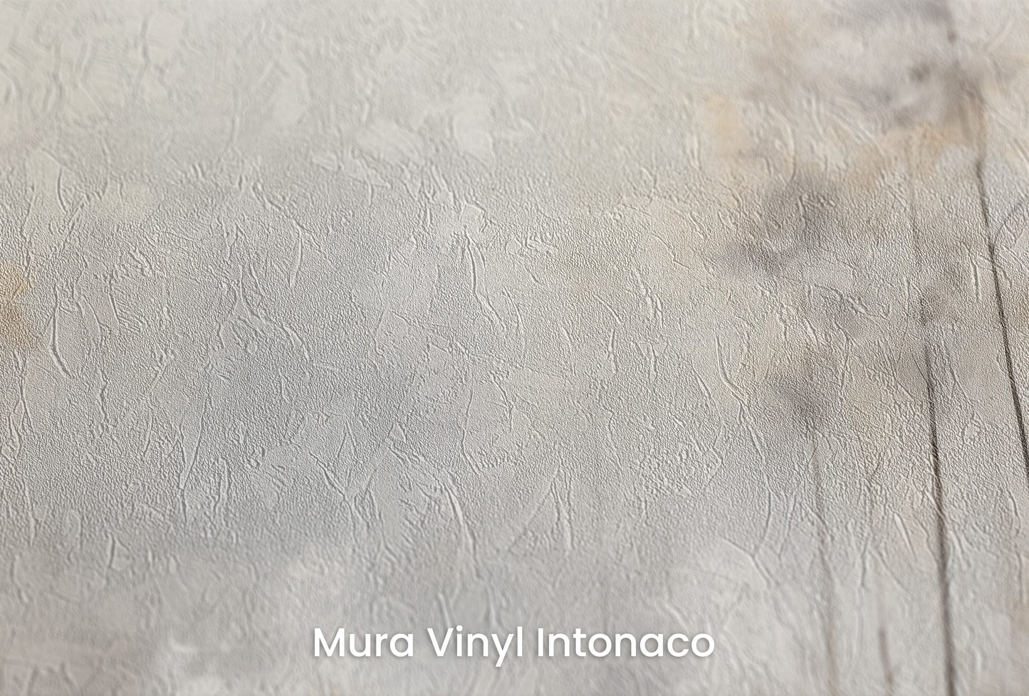 Zbliżenie na artystyczną fototapetę o nazwie MISTY MORNING MEADOW MURAL na podłożu Mura Vinyl Intonaco - struktura tartego tynku.