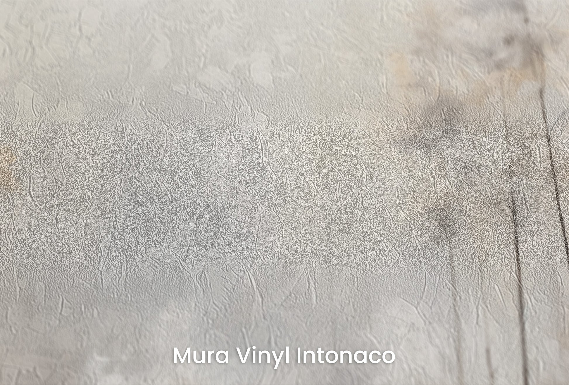 Zbliżenie na artystyczną fototapetę o nazwie MISTY MORNING MEADOW MURAL na podłożu Mura Vinyl Intonaco - struktura tartego tynku.