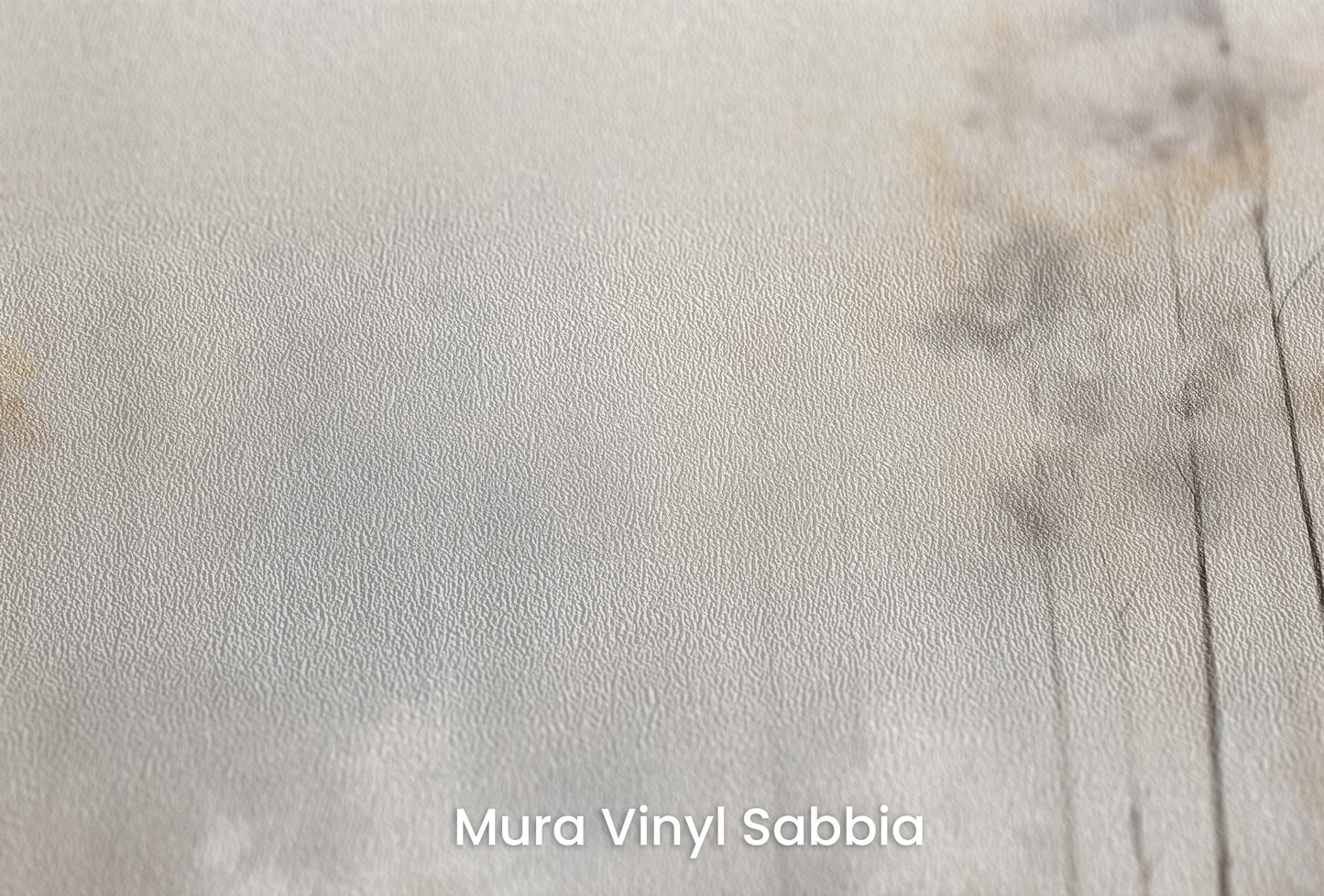 Zbliżenie na artystyczną fototapetę o nazwie MISTY MORNING MEADOW MURAL na podłożu Mura Vinyl Sabbia struktura grubego ziarna piasku.