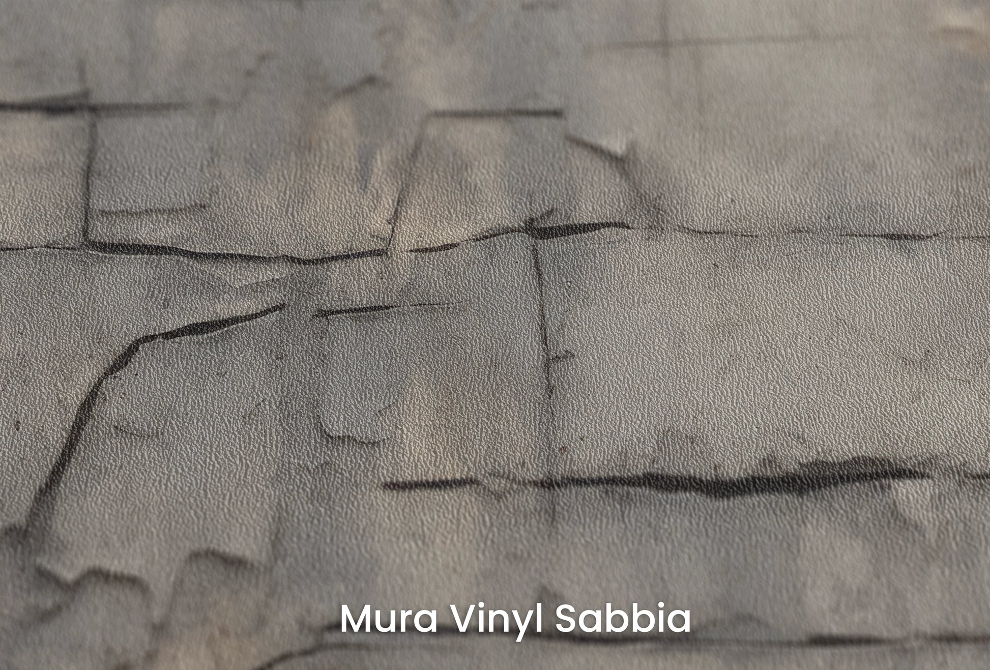 Zbliżenie na artystyczną fototapetę o nazwie Concrete Fractures na podłożu Mura Vinyl Sabbia struktura grubego ziarna piasku.