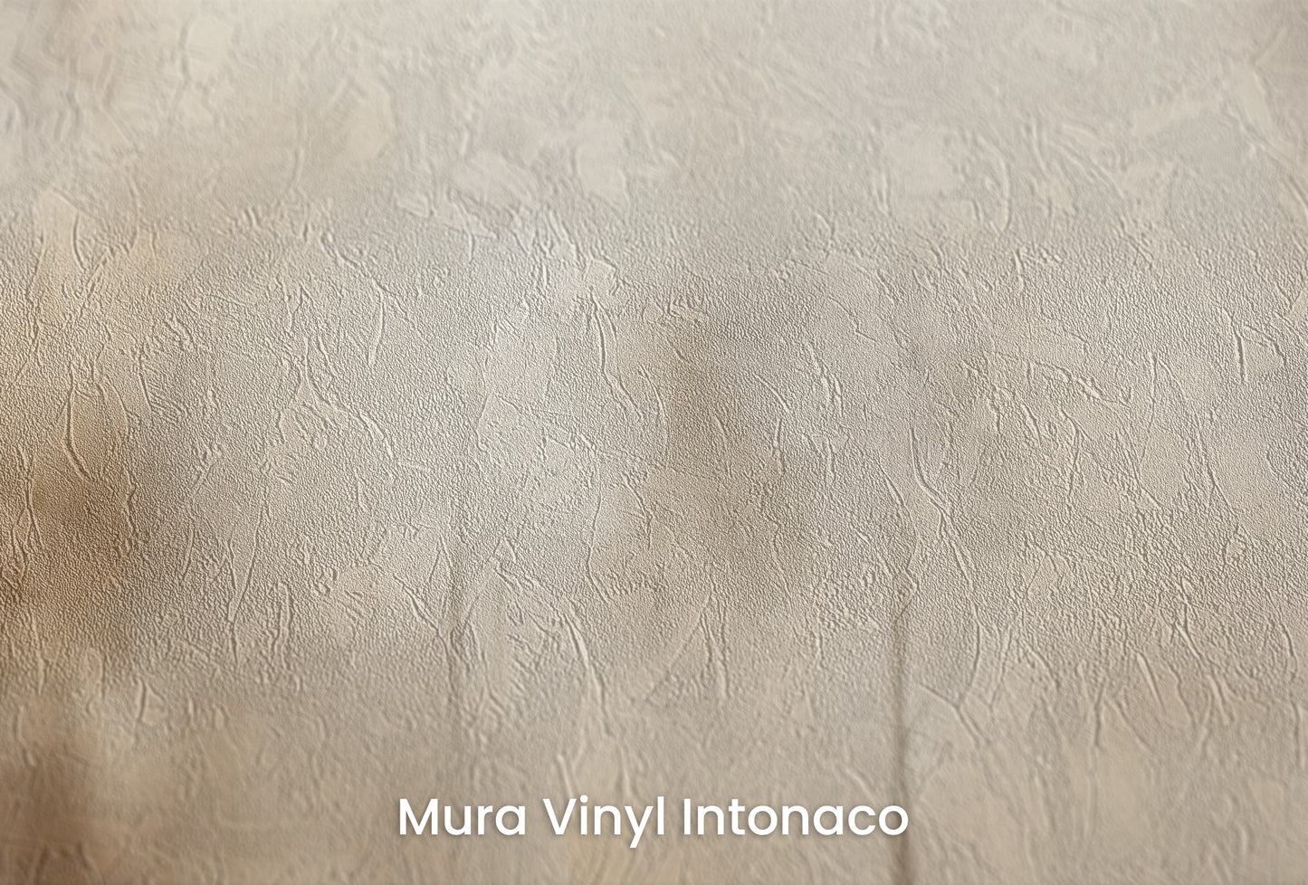 Zbliżenie na artystyczną fototapetę o nazwie SEPIA SILENCE FOREST MURAL na podłożu Mura Vinyl Intonaco - struktura tartego tynku.