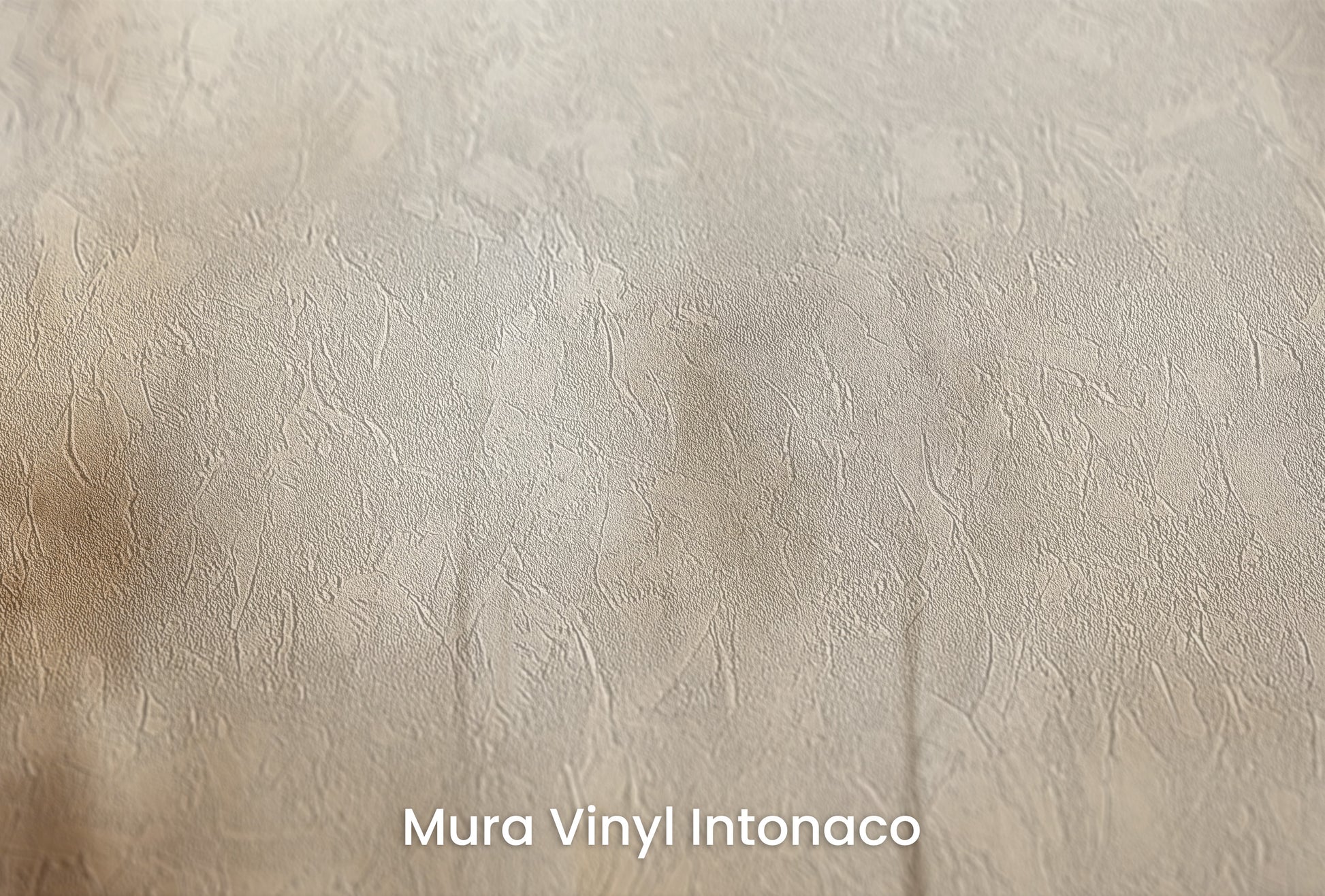 Zbliżenie na artystyczną fototapetę o nazwie SEPIA SILENCE FOREST MURAL na podłożu Mura Vinyl Intonaco - struktura tartego tynku.