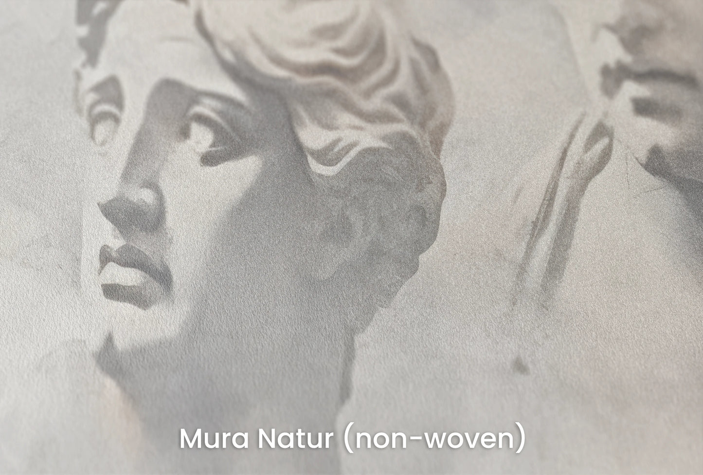 Zbliżenie na artystyczną fototapetę o nazwie Apollo and Daphne na podłożu Mura Natur (non-woven) - naturalne i ekologiczne podłoże.