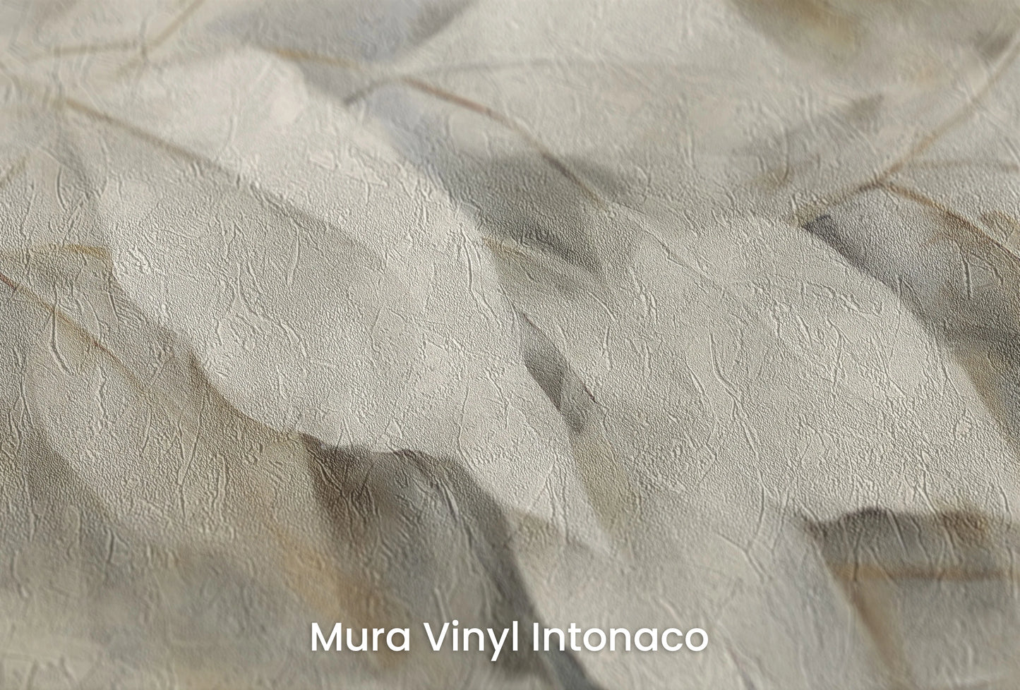 Zbliżenie na artystyczną fototapetę o nazwie Silver Serenity na podłożu Mura Vinyl Intonaco - struktura tartego tynku.
