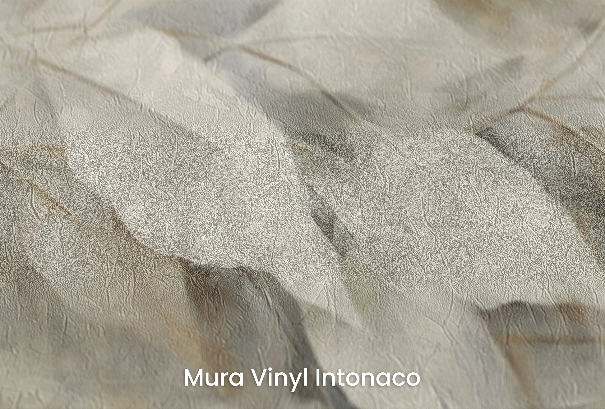 Zbliżenie na artystyczną fototapetę o nazwie Silver Serenity na podłożu Mura Vinyl Intonaco - struktura tartego tynku.