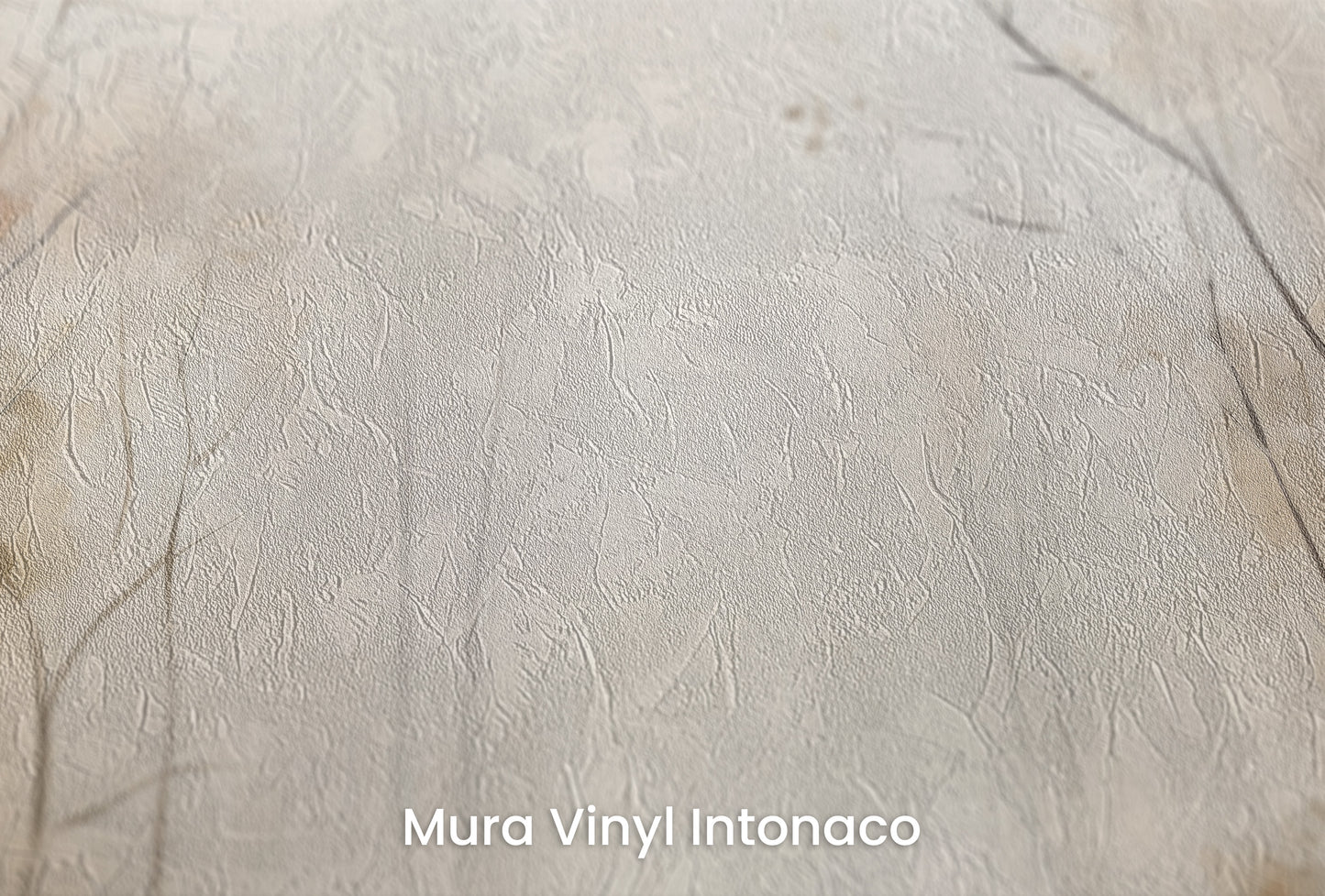 Zbliżenie na artystyczną fototapetę o nazwie AUTUMNAL MORNING HAZE MURAL na podłożu Mura Vinyl Intonaco - struktura tartego tynku.