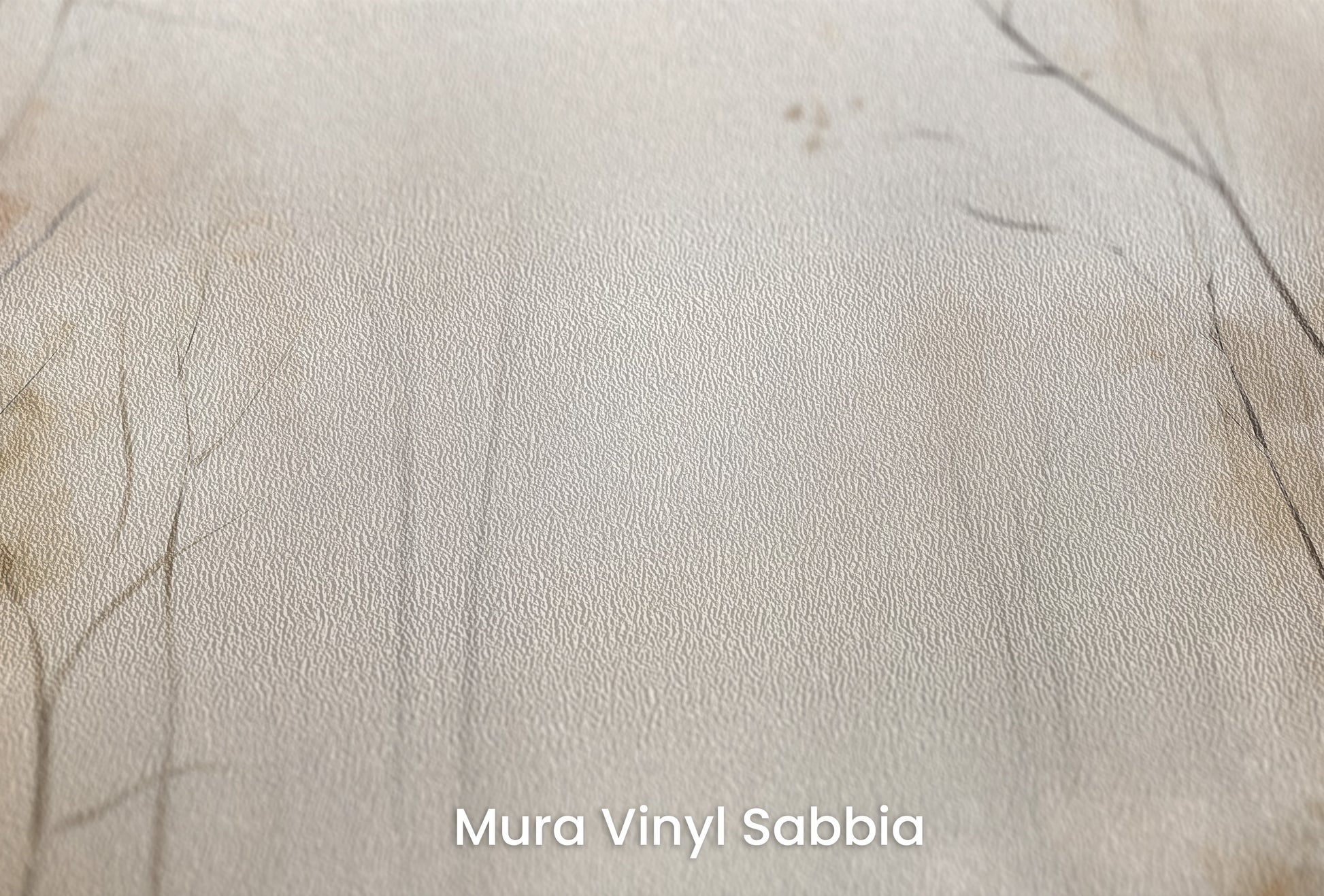 Zbliżenie na artystyczną fototapetę o nazwie AUTUMNAL MORNING HAZE MURAL na podłożu Mura Vinyl Sabbia struktura grubego ziarna piasku.