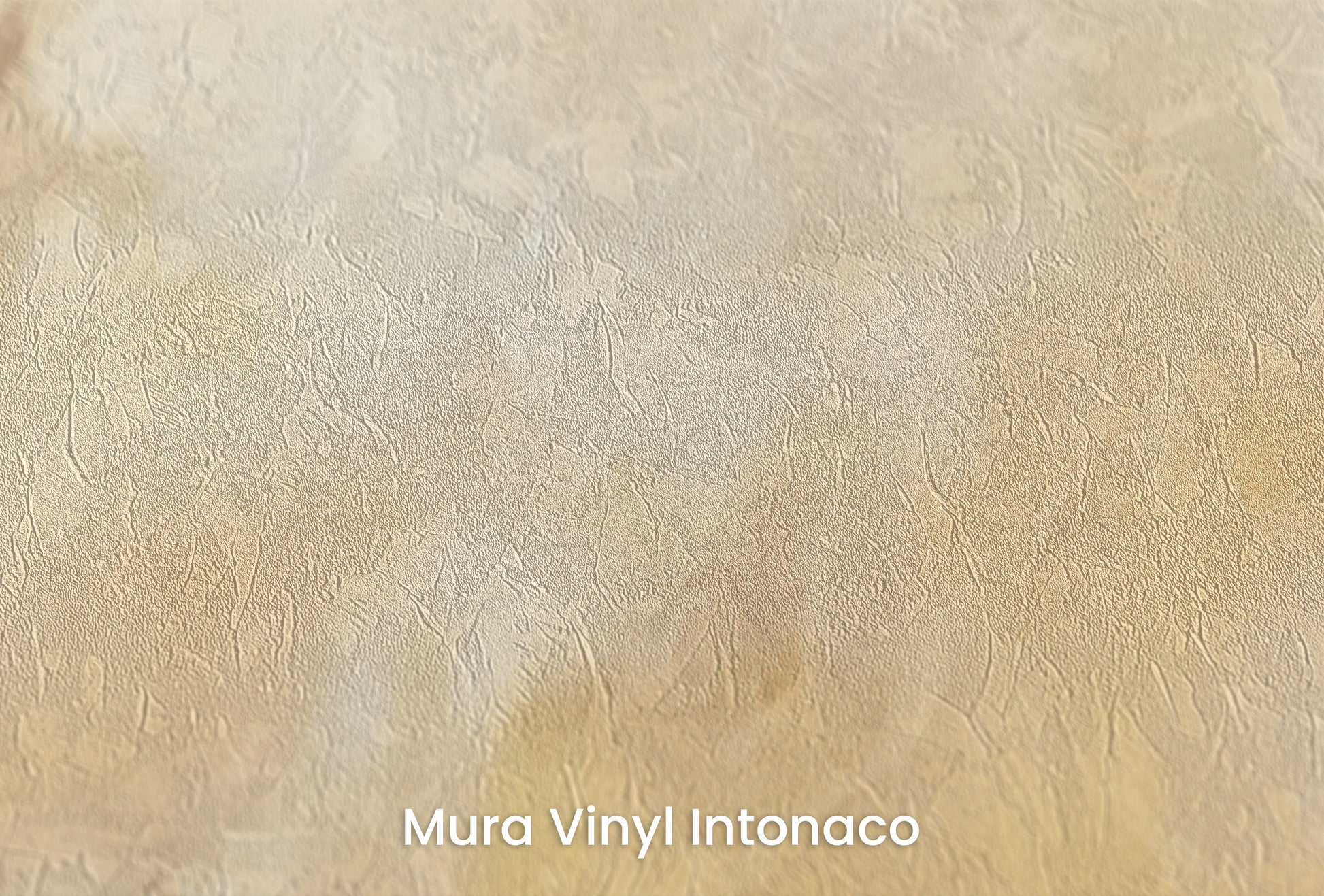 Zbliżenie na artystyczną fototapetę o nazwie GOLDEN DAWN MARBLE na podłożu Mura Vinyl Intonaco - struktura tartego tynku.