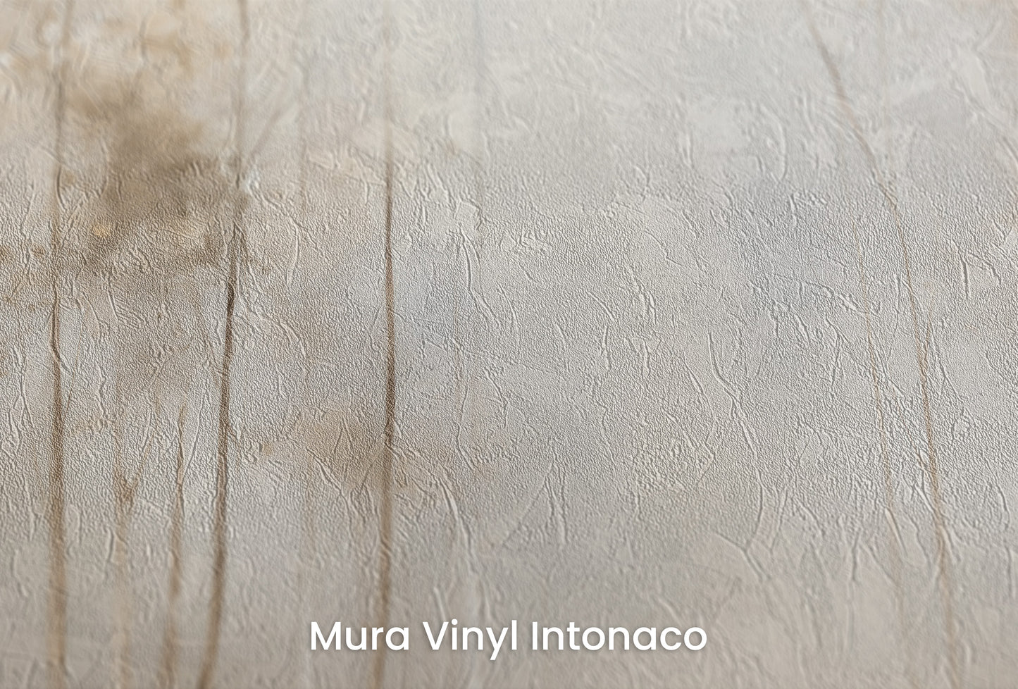 Zbliżenie na artystyczną fototapetę o nazwie GOLDEN MIST AT DAWN MURAL na podłożu Mura Vinyl Intonaco - struktura tartego tynku.