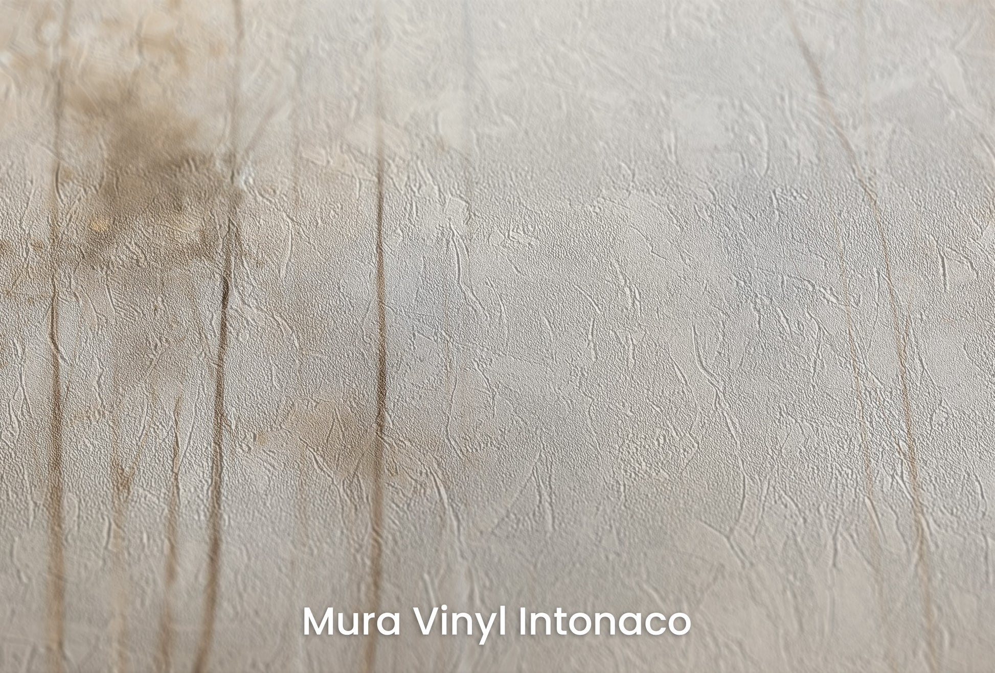 Zbliżenie na artystyczną fototapetę o nazwie GOLDEN MIST AT DAWN MURAL na podłożu Mura Vinyl Intonaco - struktura tartego tynku.