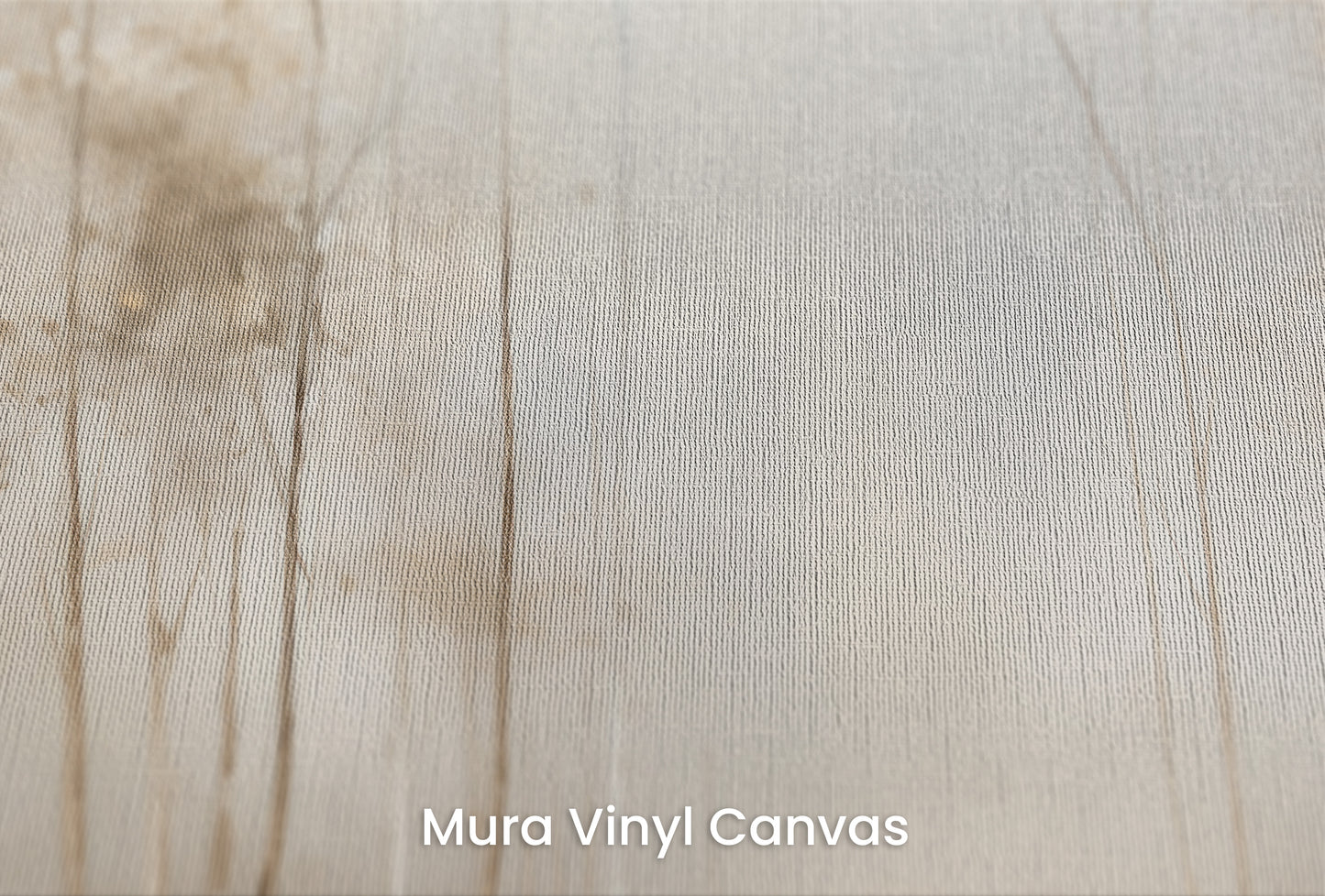 Zbliżenie na artystyczną fototapetę o nazwie GOLDEN MIST AT DAWN MURAL na podłożu Mura Vinyl Canvas - faktura naturalnego płótna.