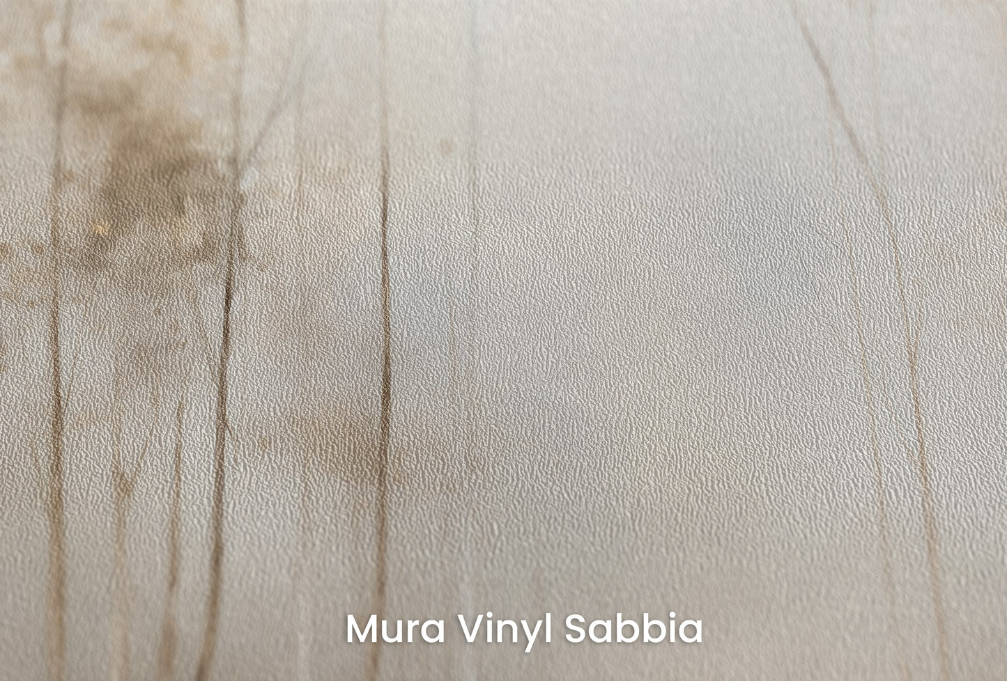 Zbliżenie na artystyczną fototapetę o nazwie GOLDEN MIST AT DAWN MURAL na podłożu Mura Vinyl Sabbia struktura grubego ziarna piasku.